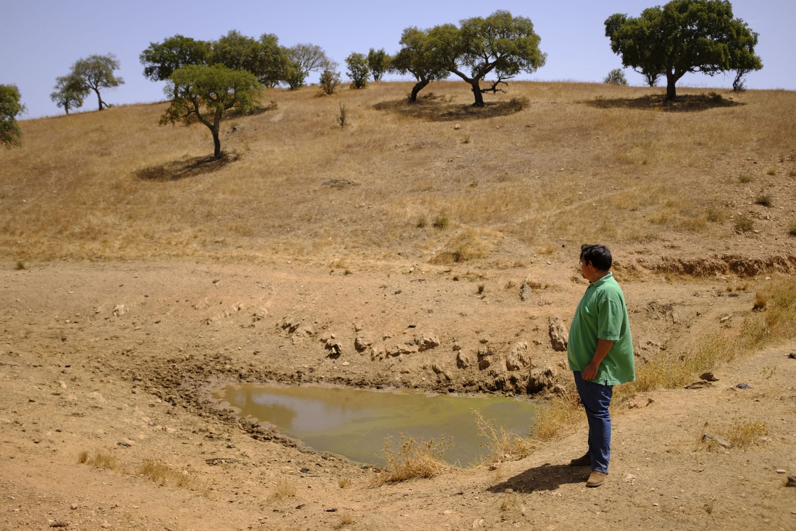 Seca: Retirada de peixes em albufeiras do Alentejo vai arrancar na Vigia