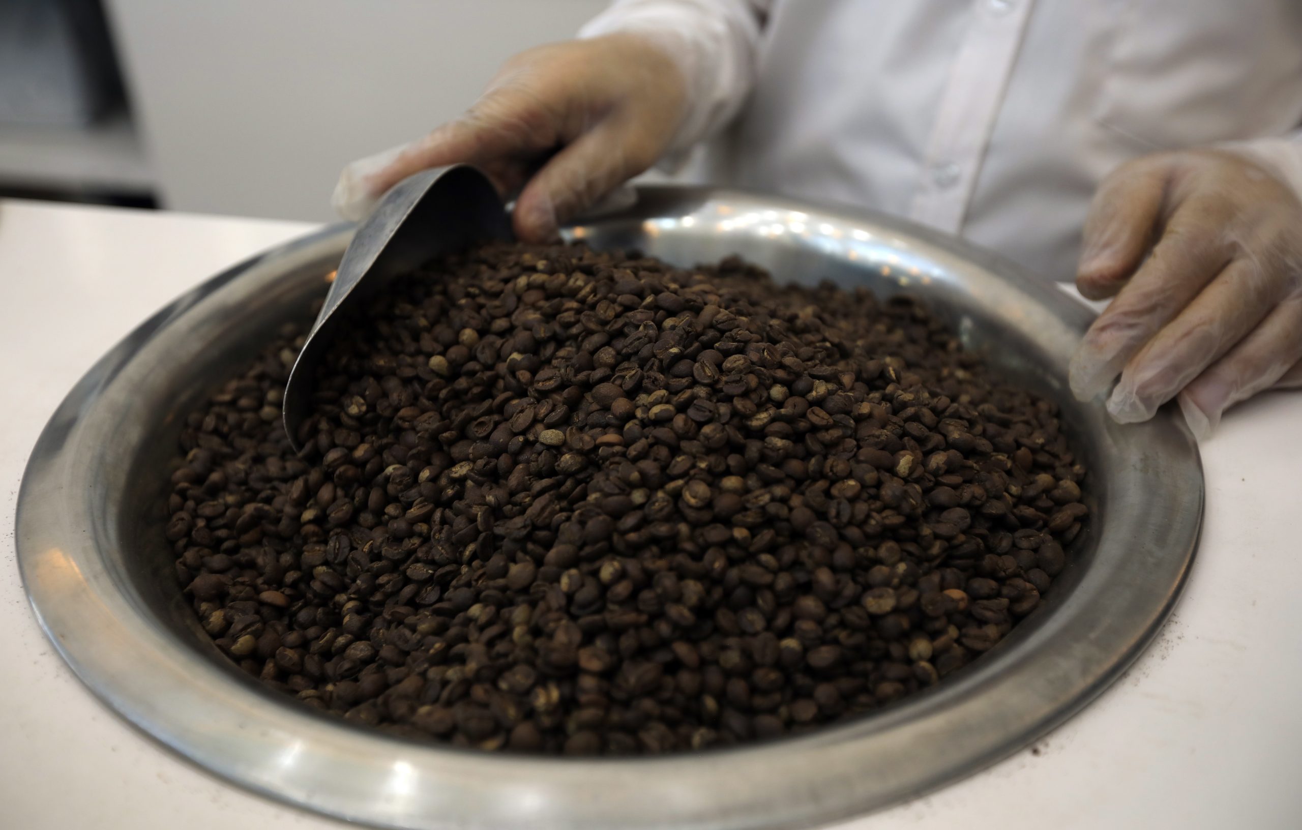 Tipo de café mais popular do mundo tem mais de meio milhão de anos