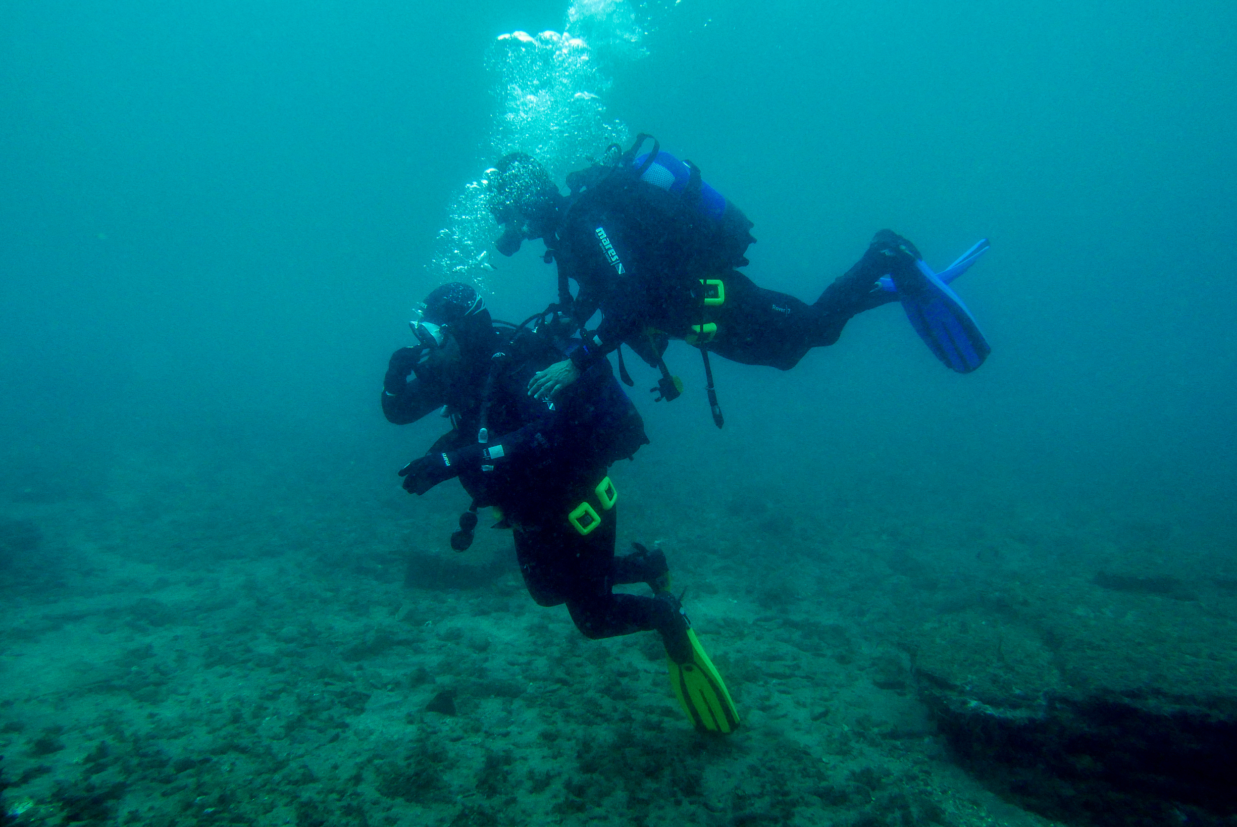 “Diving Talks”, o congresso sobre mergulho que junta especialistas em Tróia para valorizar prática