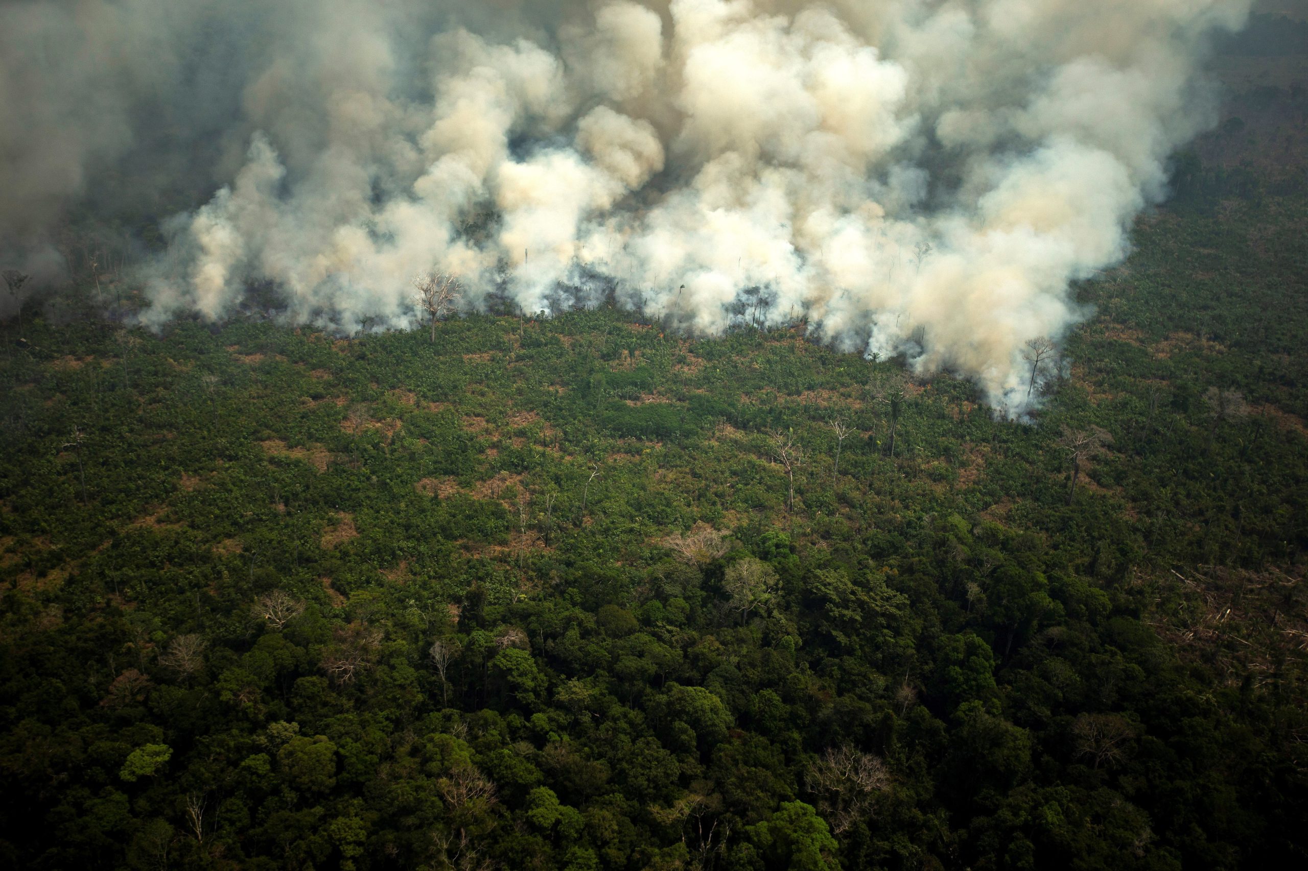 Amazónia. Fumo dos incêndios cobre metade da Argentina e do Uruguai
