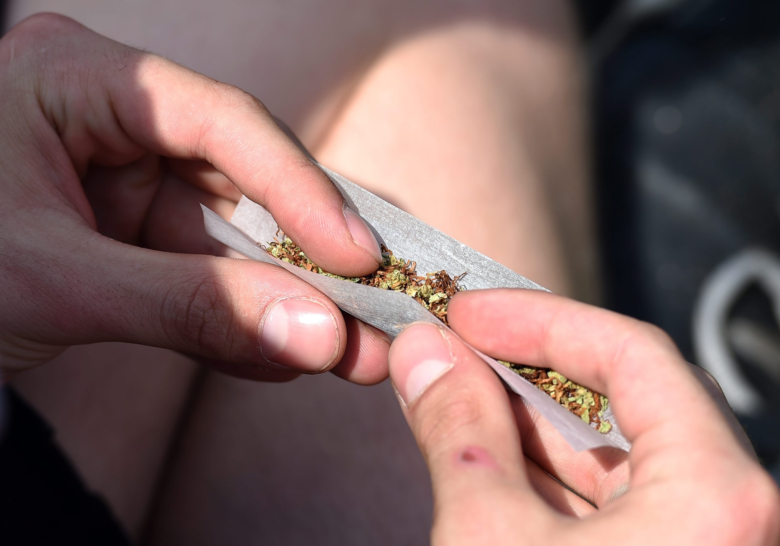 Os canadianos gastaram quase tanto dinheiro em marijuana como em vinho