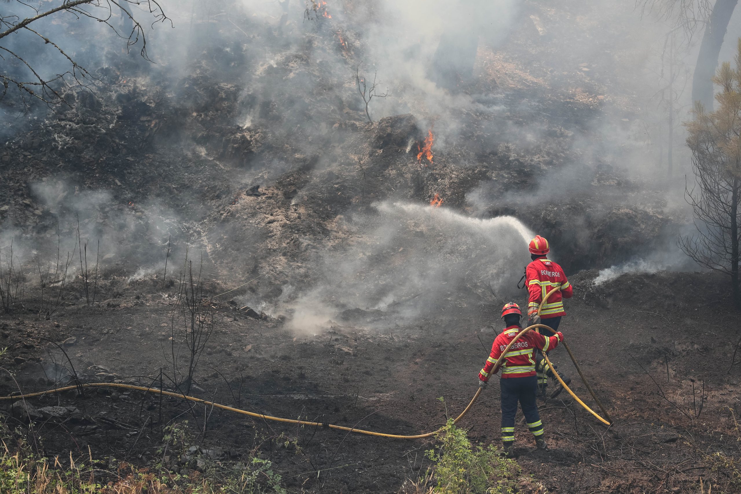 Incêndios: Frente de Mação com reacendimentos