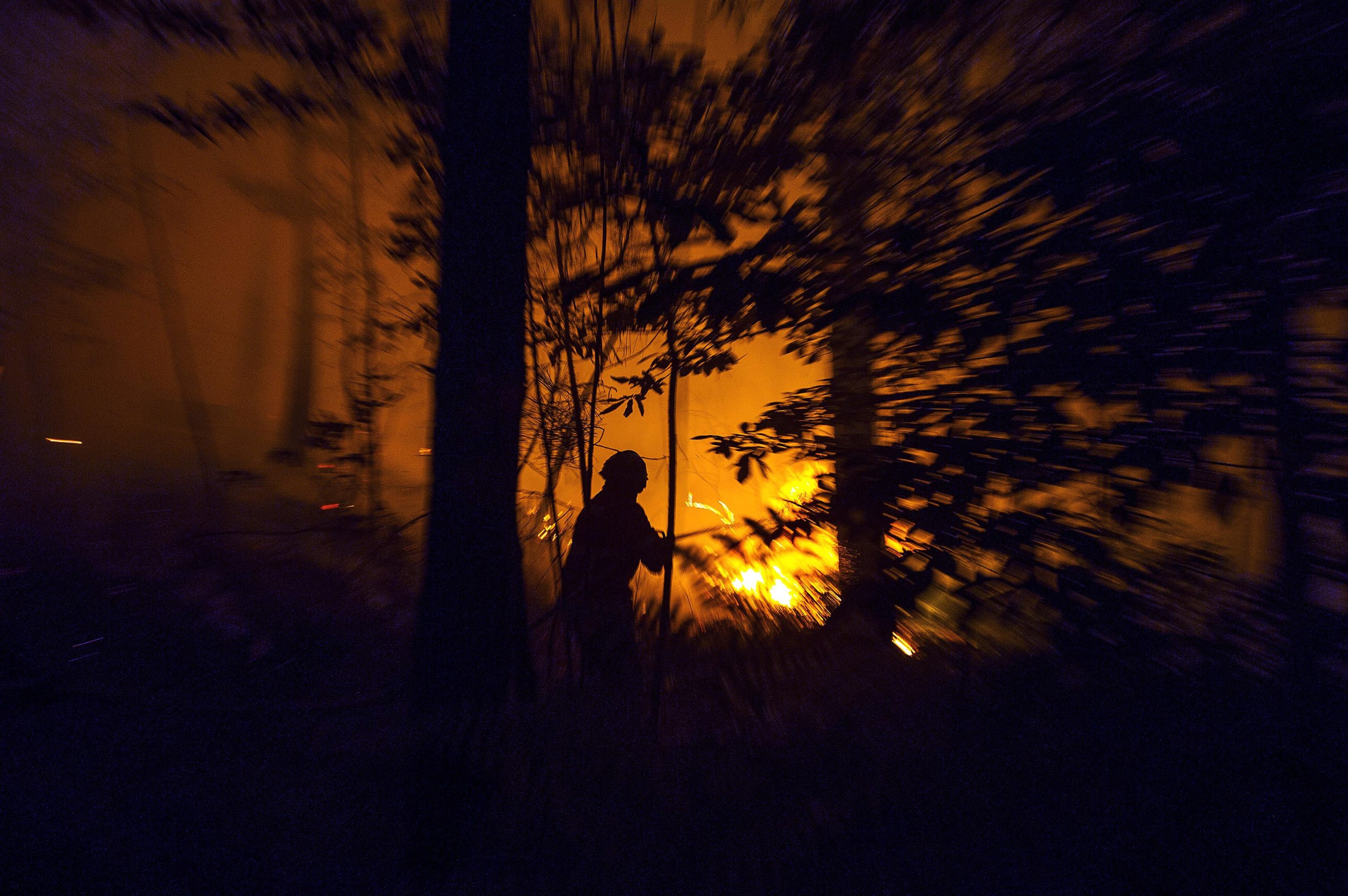 Incêndios: GNR identifica três suspeitos de autoria de fogos florestais em Lamego e Tarouca
