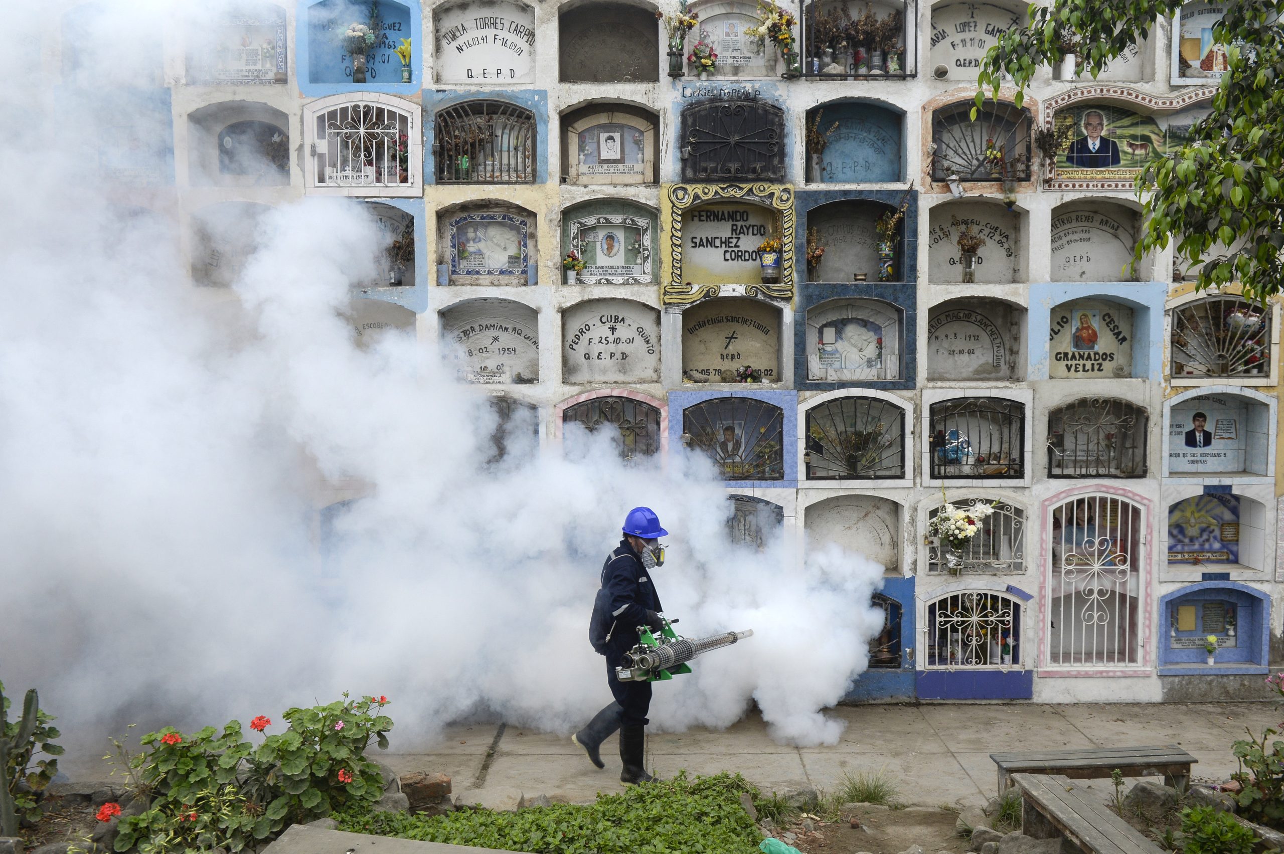Especialistas em proteção das plantas querem ajudar a alterar práticas nocivas ao ambiente