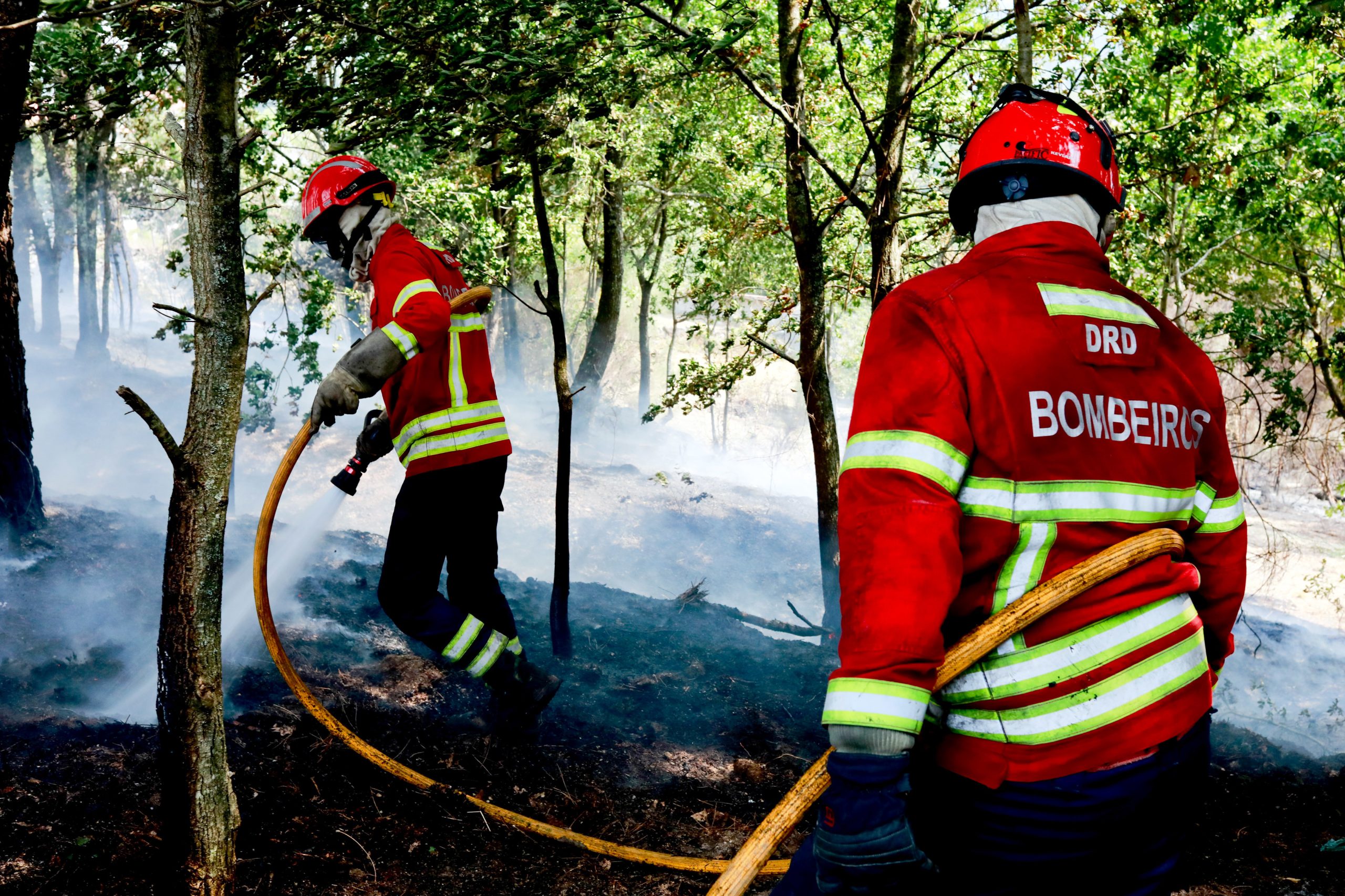 Fogo florestal em Arouca controlado
