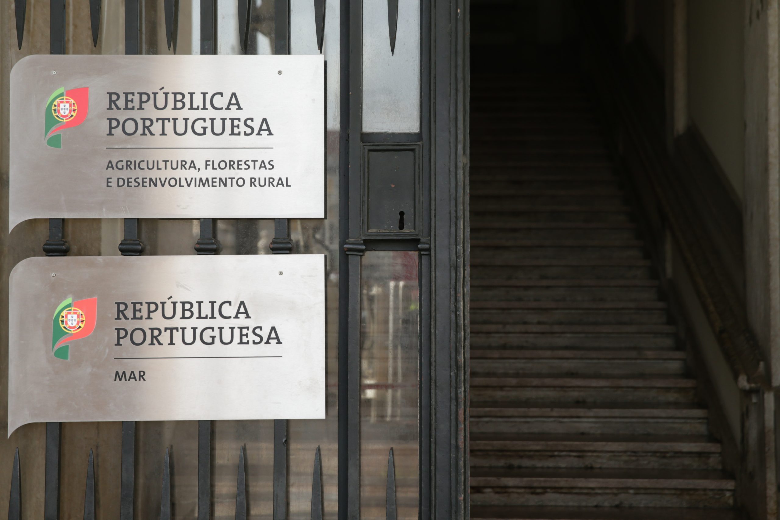 Proprietário da Quinta das Amoras acusa governo de “má fé” e volta a fazer greve de fome