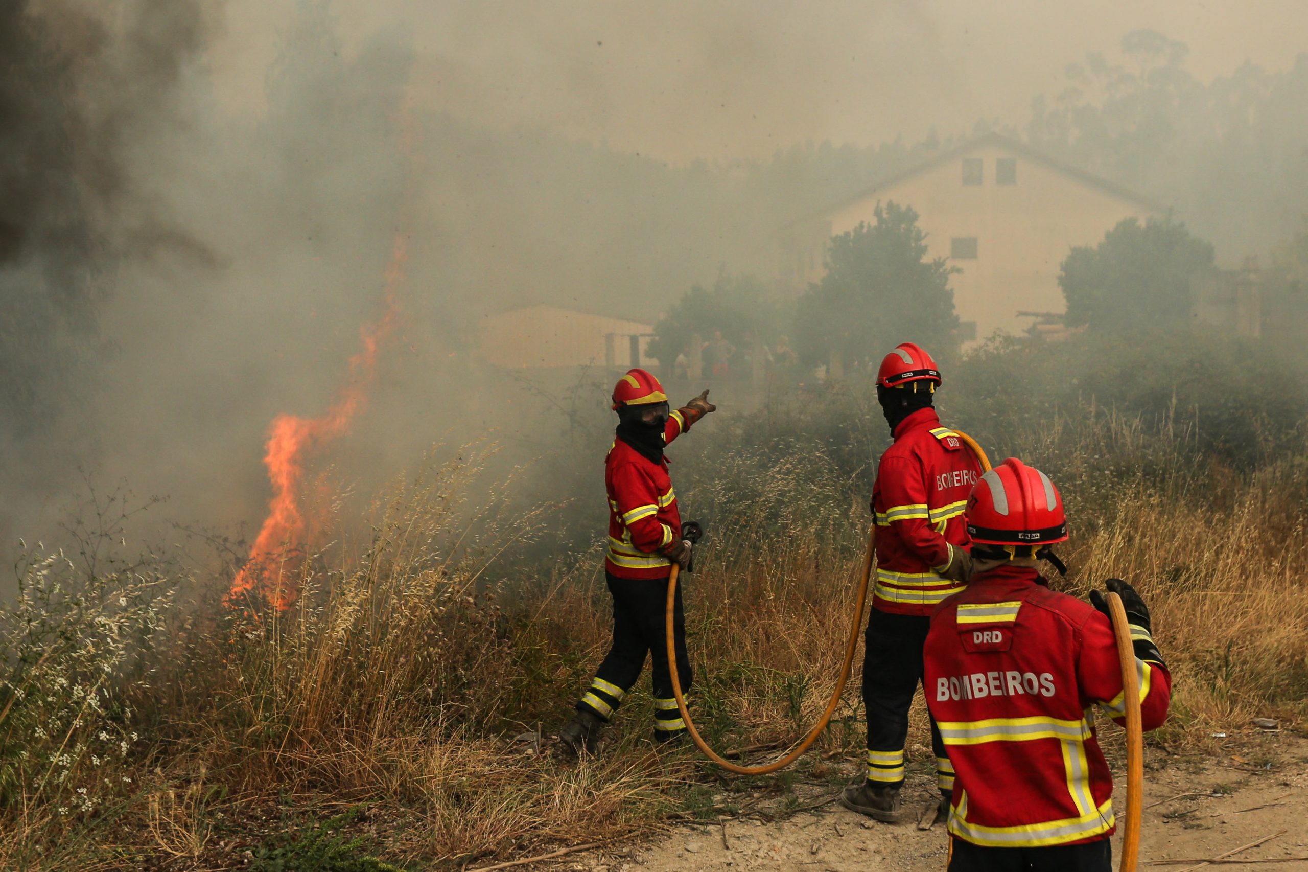 Fogo no concelho de Figueiró dos Vinhos em resolução