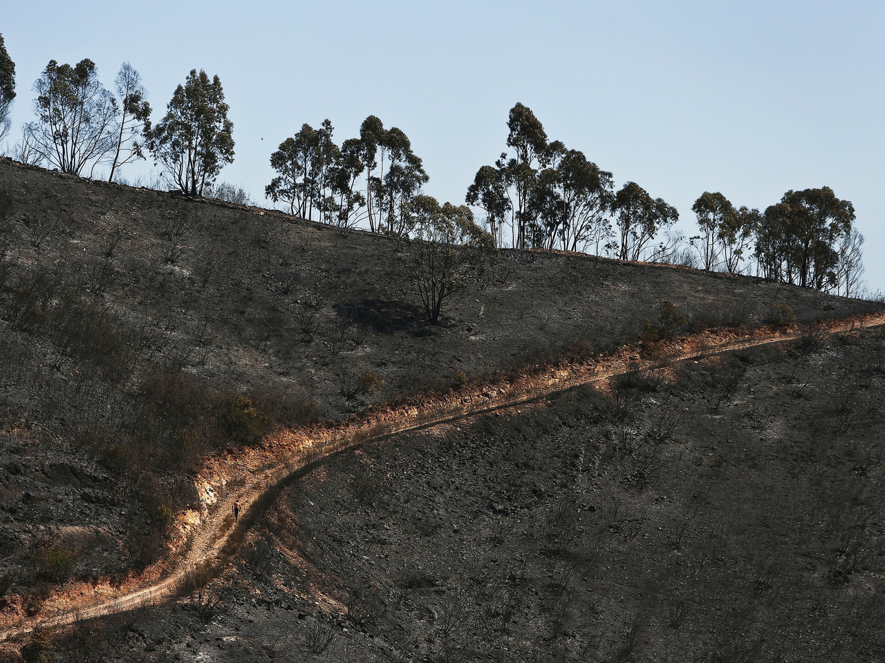 Incêndios: Barrancos e três concelhos da Madeira com risco ‘Muito Elevado’