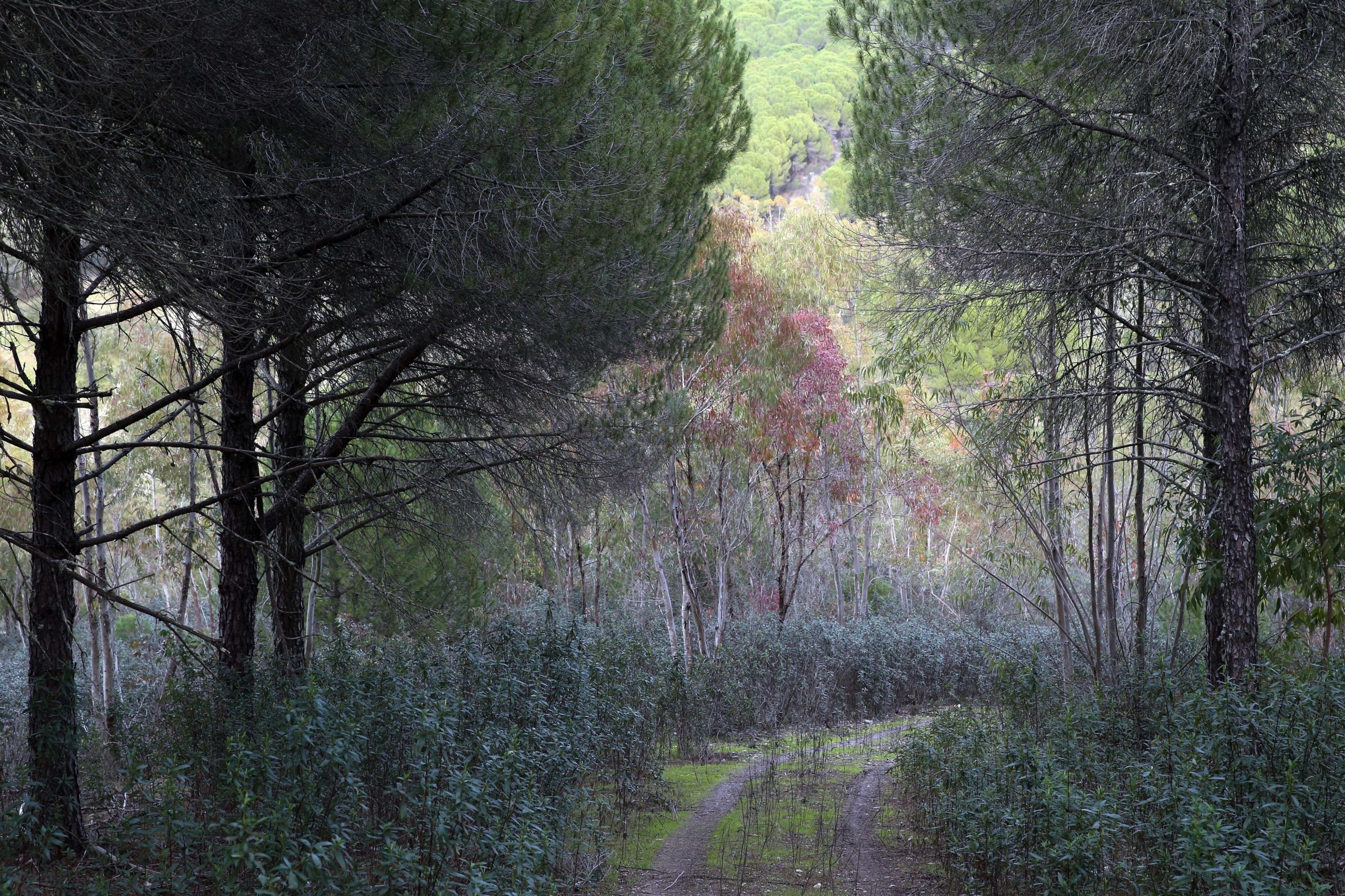 Herdade da Contenda em Moura vence Prémio Nacional de Paisagem 2020