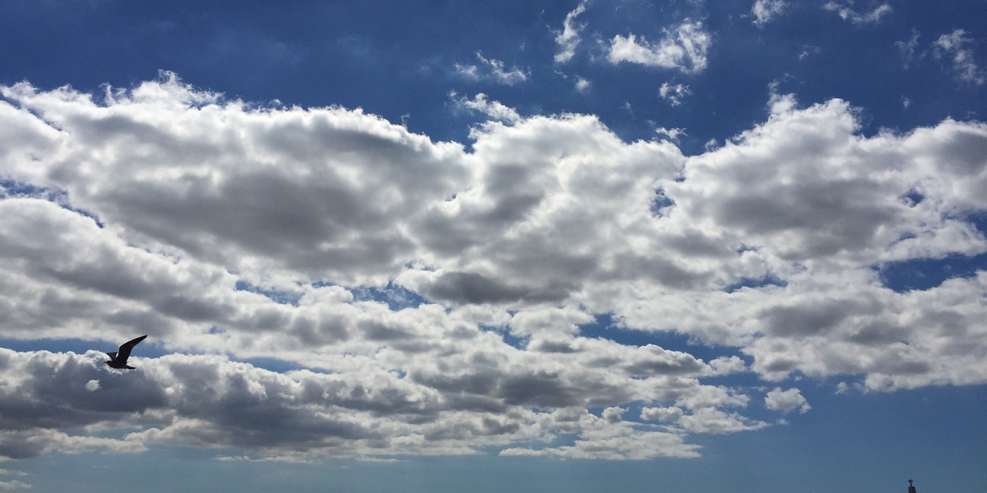 Respira-se melhor em Faro, Viana do Castelo e Viseu, segundo a AEA
