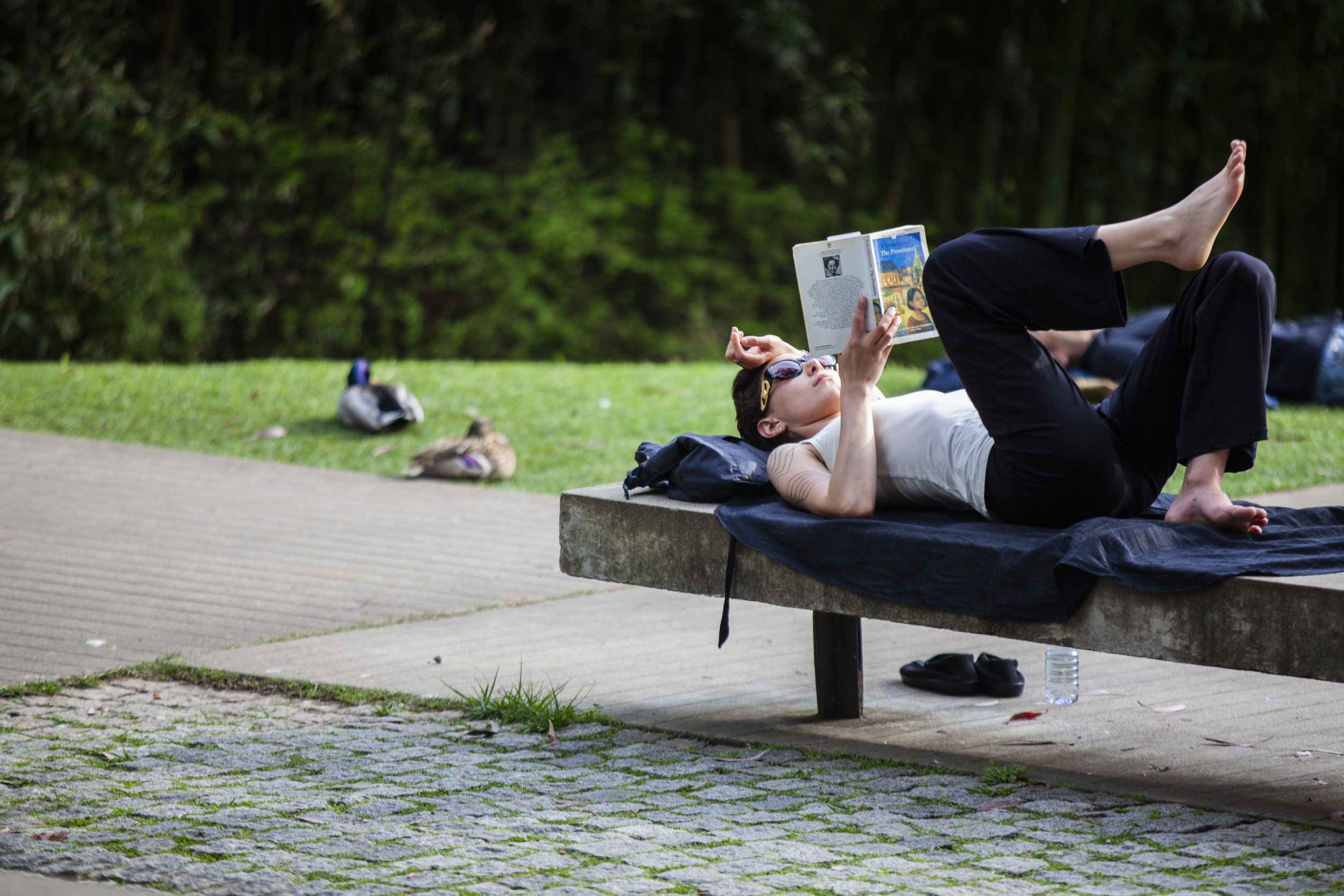 Tempo: Primavera arranca quarta-feira com temperaturas a condizer