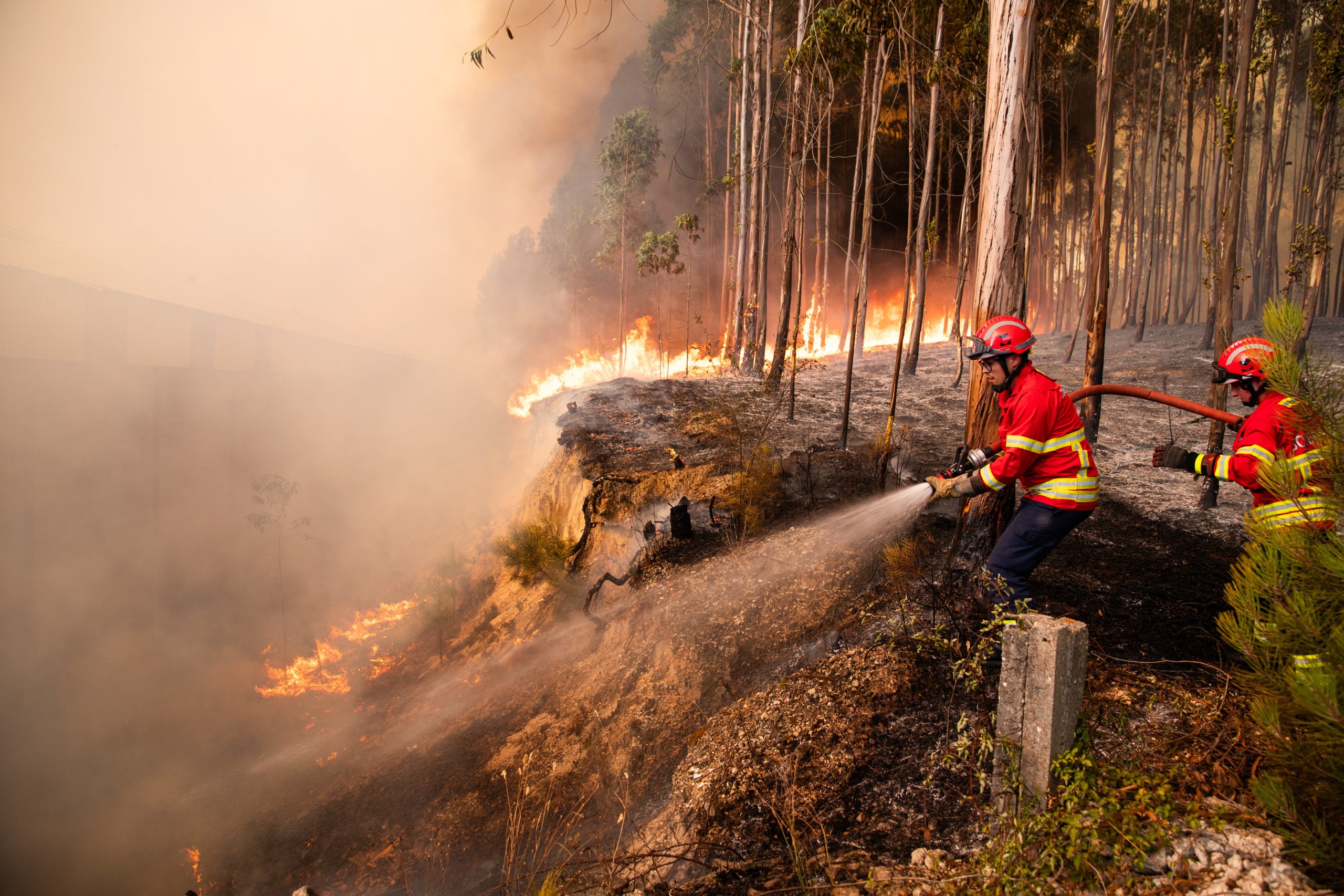 Incêndio na A2 em resolução. Trânsito aberto em ambos os sentidos