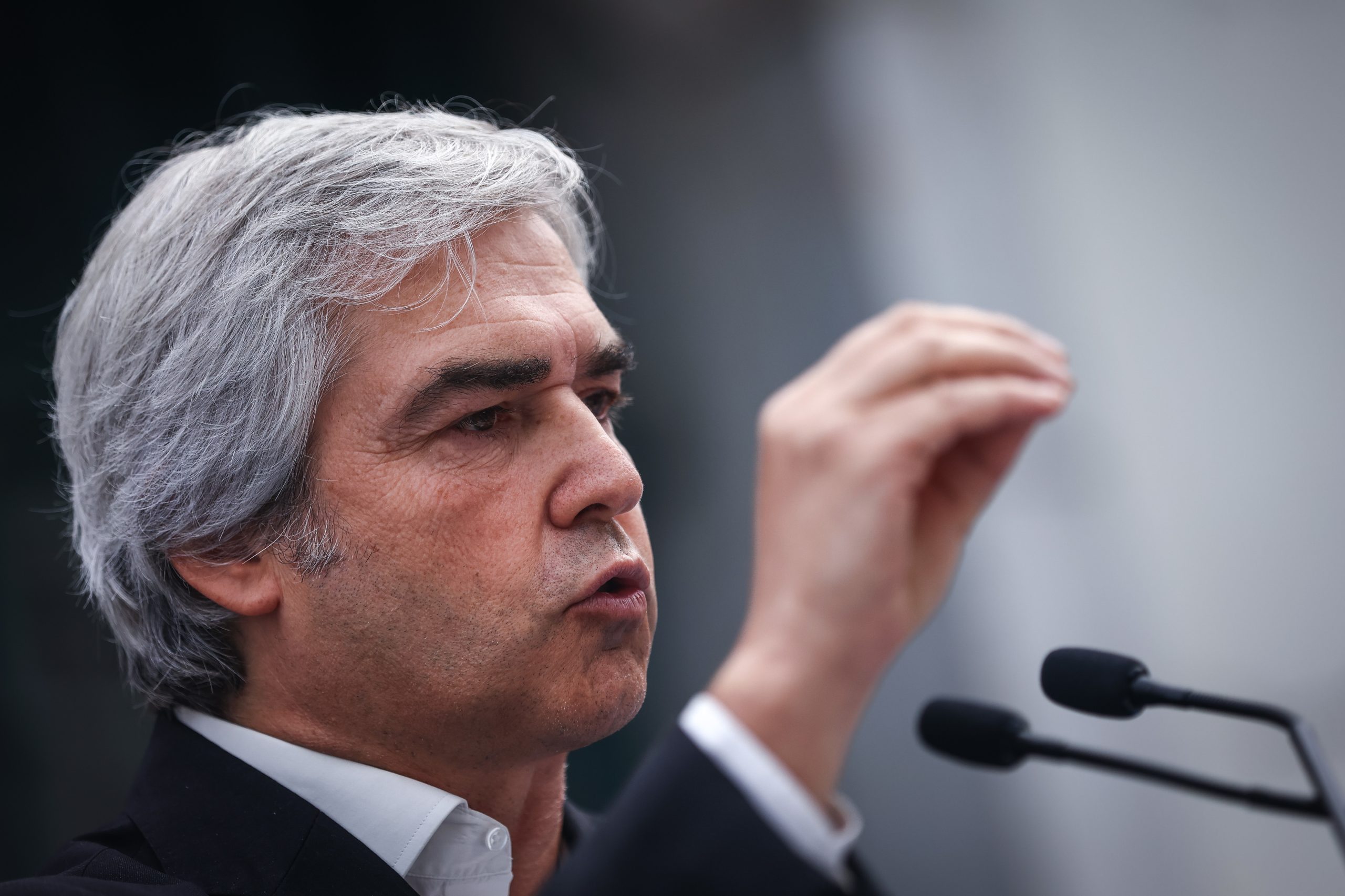 CDS-PP e PEV consideram que eleições eram única alternativa perante a crise política