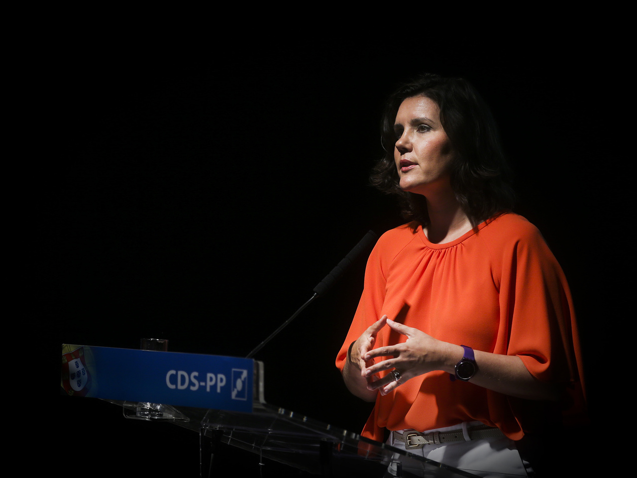 Assunção Cristas diz que aumento de impostos mostra que modelo económico do Governo falhou
