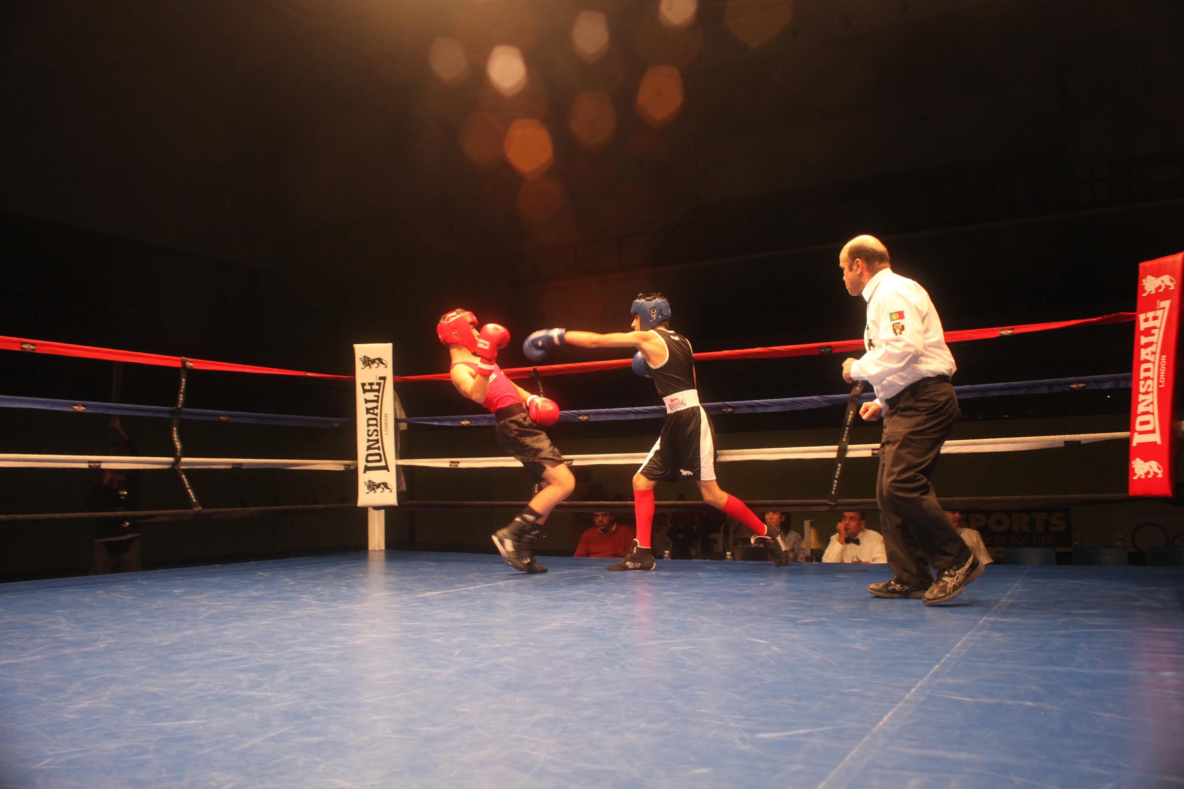 Boxe: 28 combates por dia no maior torneio internacional de boxe olímpico em Portugal
