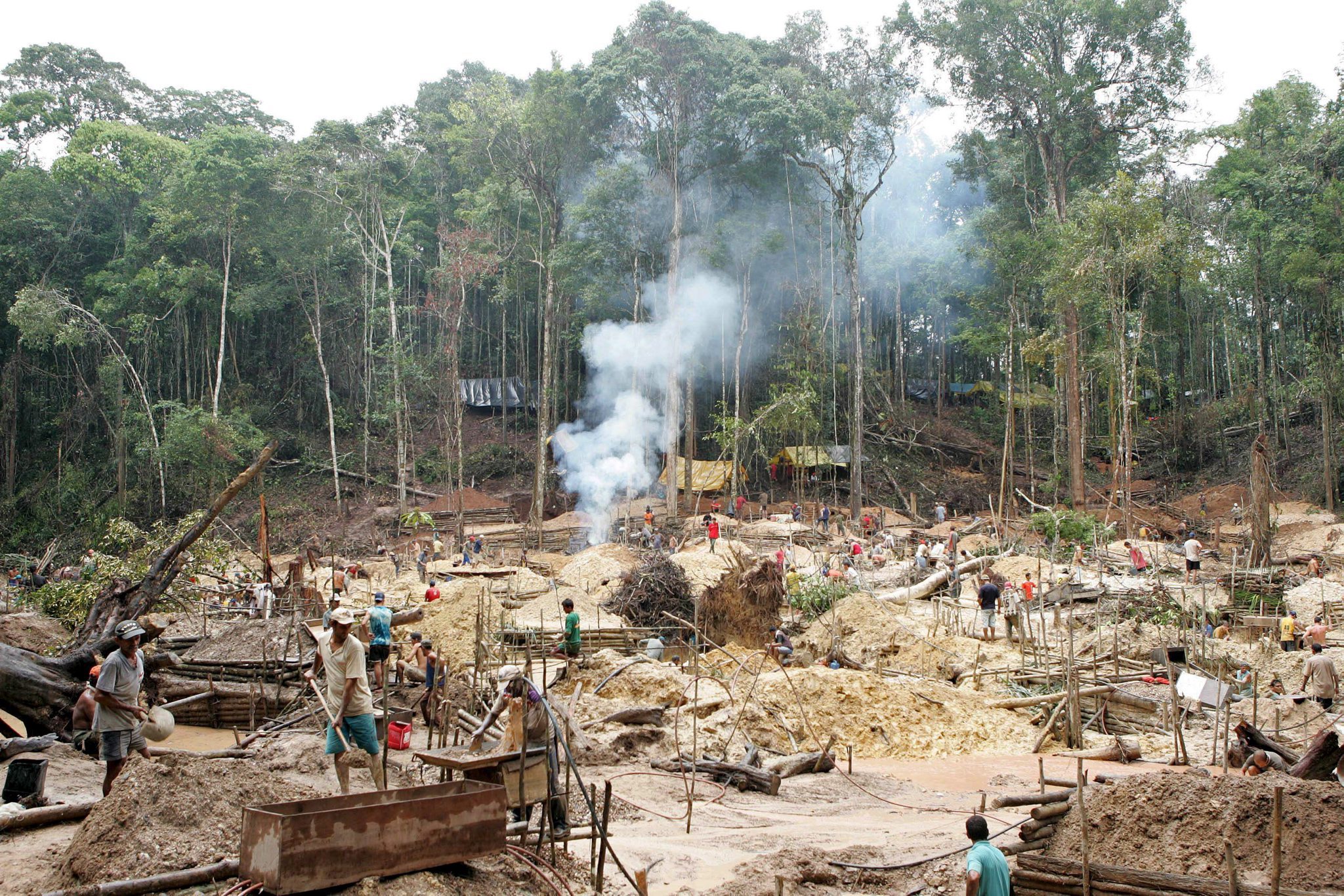 ONG identifica entidades norte-americanas como “cúmplices” da destruição da Amazónia