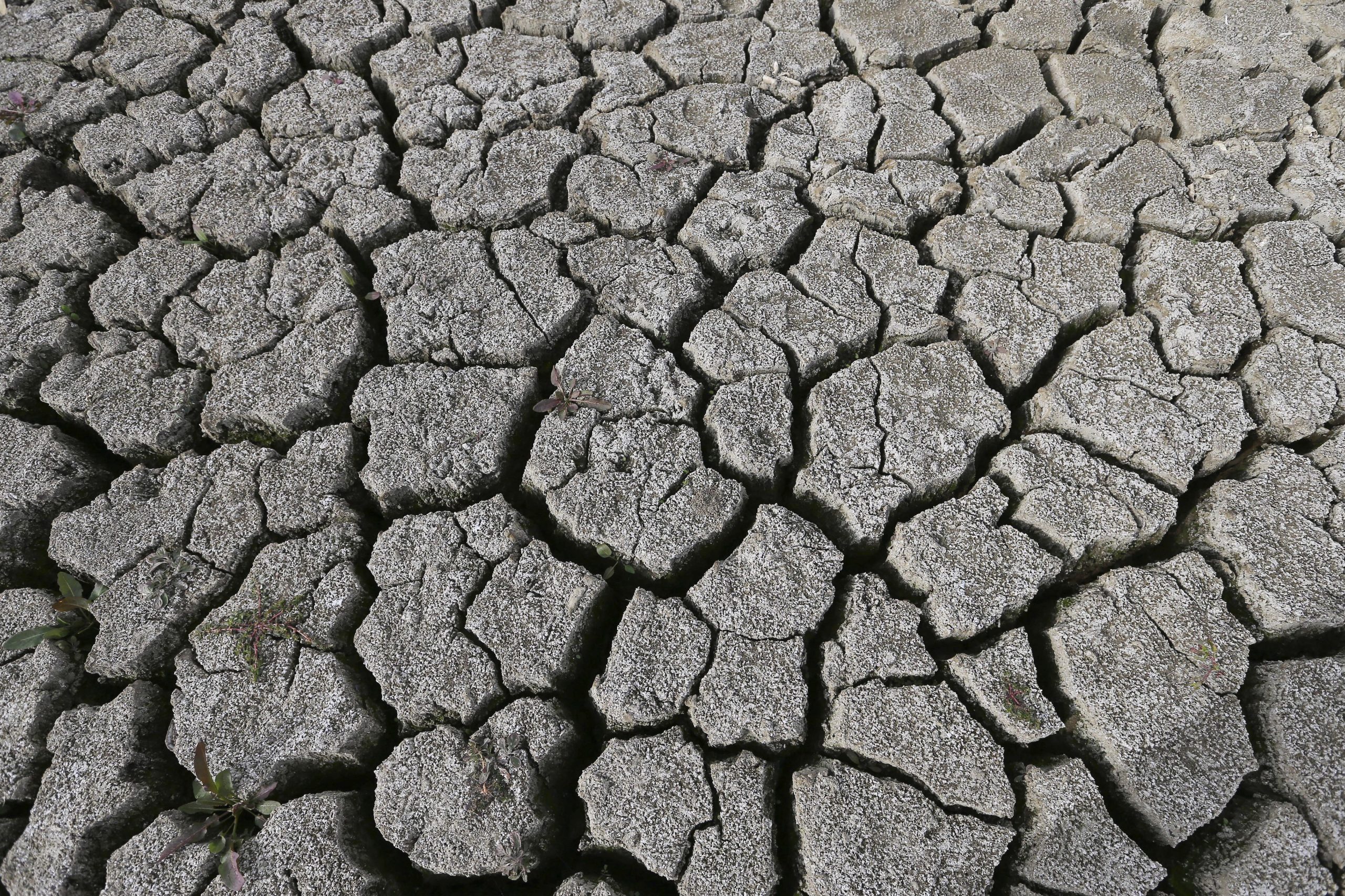 Seca: Chuva repôs níveis das barragens e evitou “catástrofe” no Alentejo