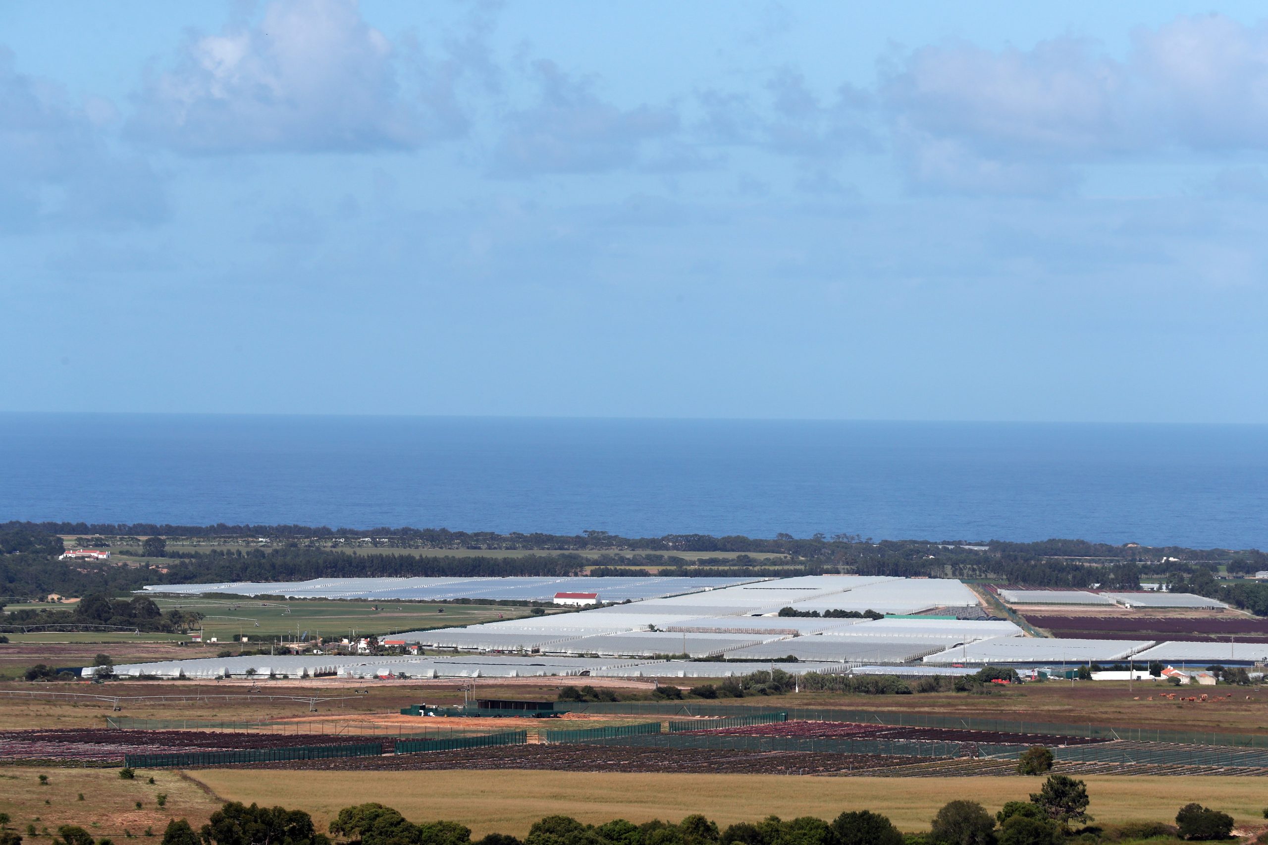 No Sudoeste, turismo e agricultura podiam viver em paz mas “o paraíso acabou”