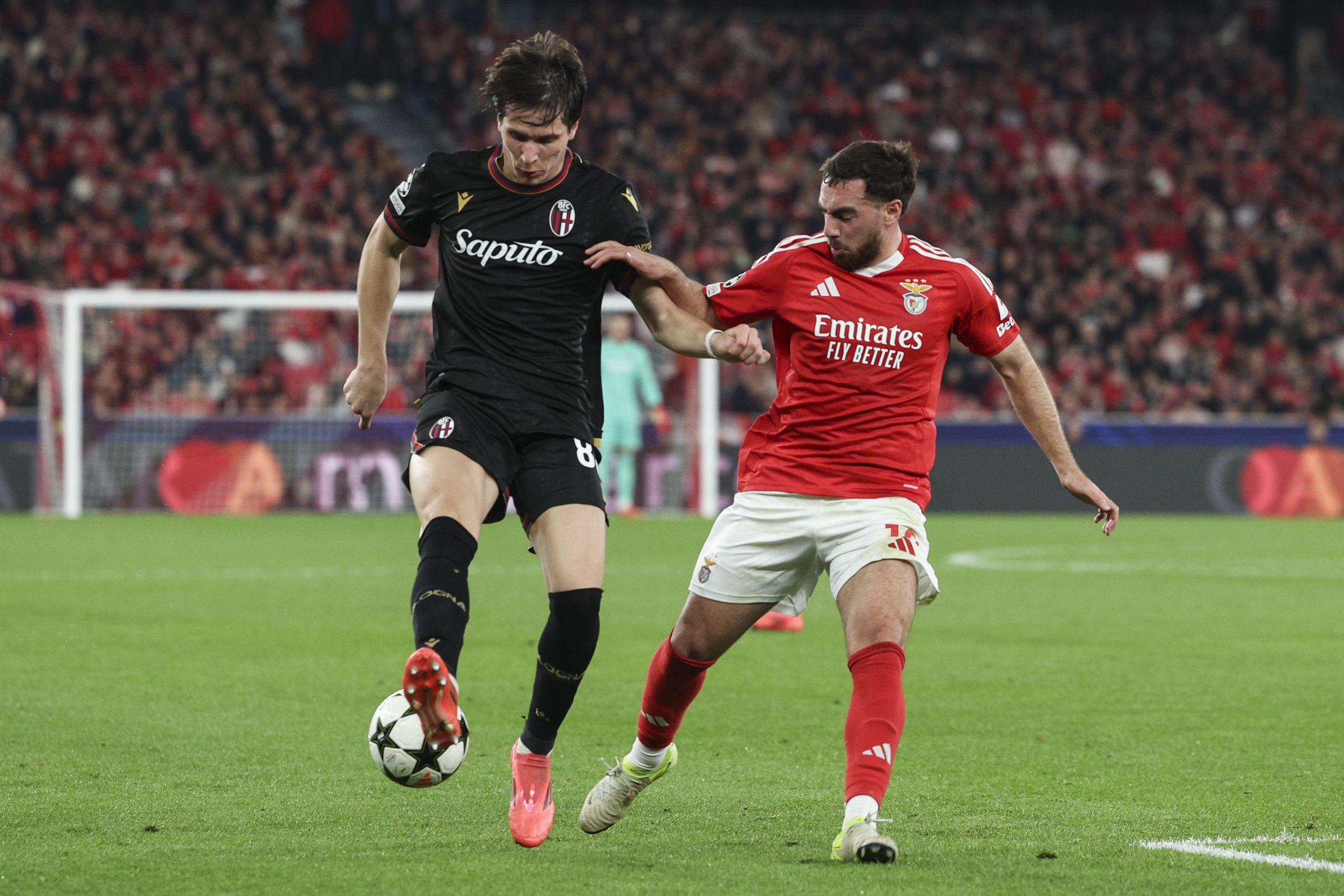Champions League: não houve golos na Luz. Benfica empata com o Bolonha