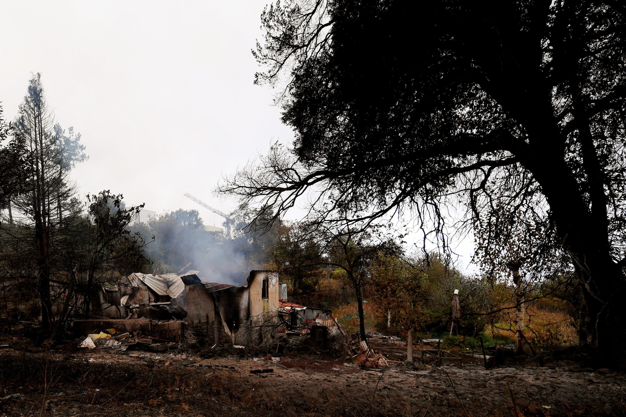 Fogo em Mira e Vagos tornou impossível trabalho de bombeiros. “Estivemos toda a noite entregues à nossa sorte”