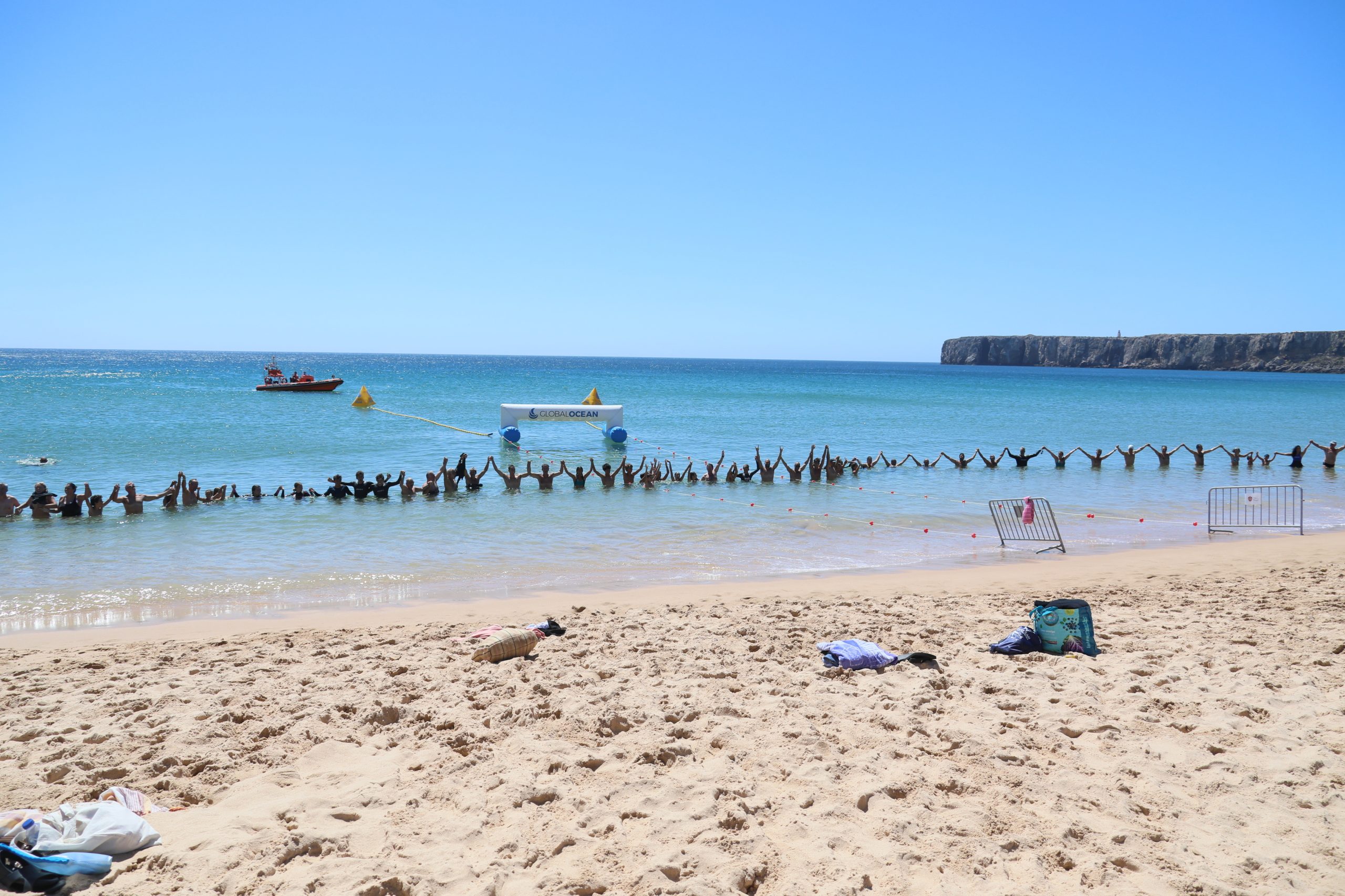 Global Ocean bateu recorde em Sagres. 200 pessoas nadaram pela proteção dos oceanos