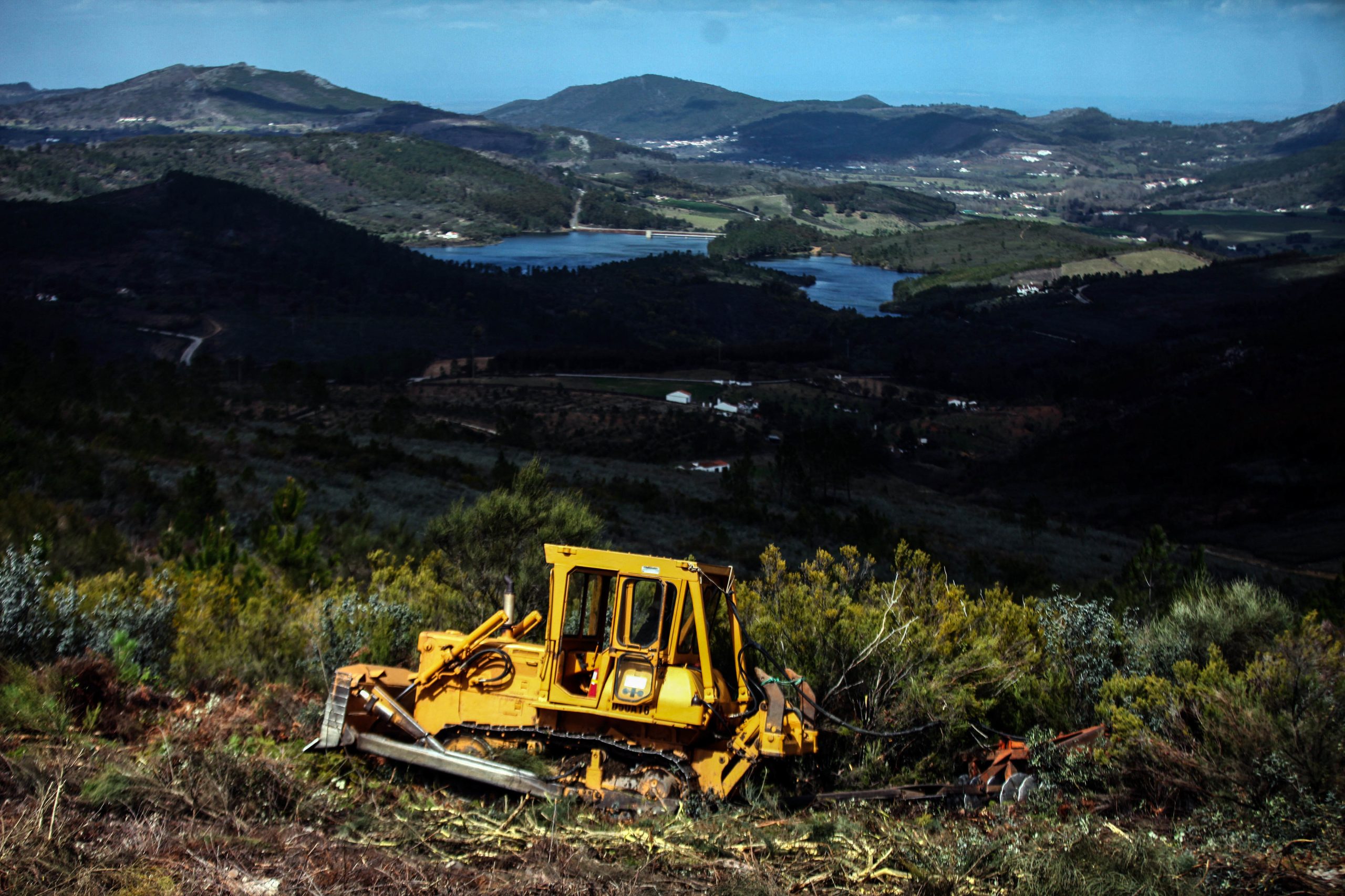 Incêndios: PEV alerta que Serra de São Mamede é uma das áreas “mais vulneráveis