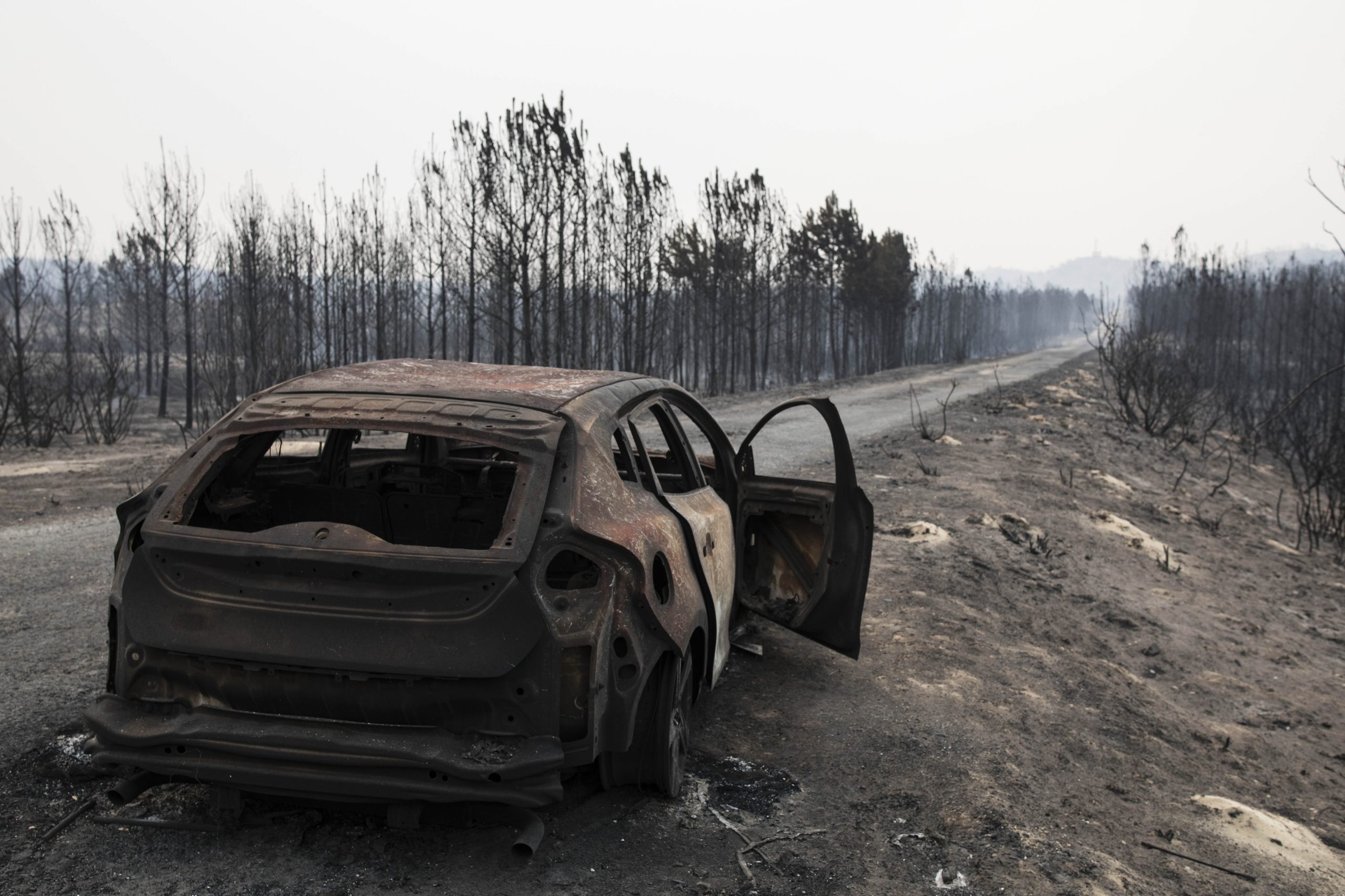 Incêndios: Município da Marinha Grande preocupado com falta de vigilância do ICNF