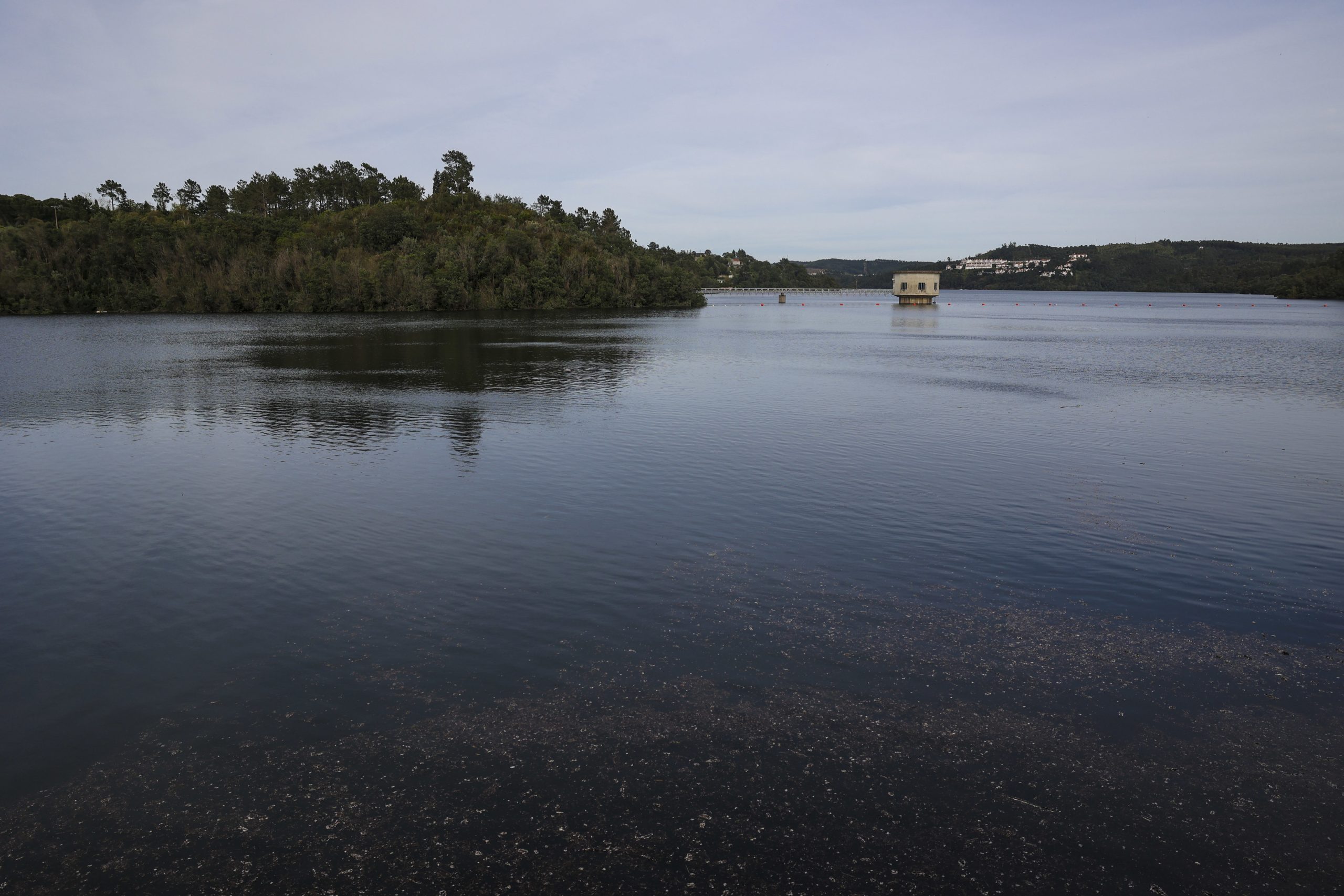 Obra para ampliar canal entre o mar e a lagoa de Albufeira arranca em março