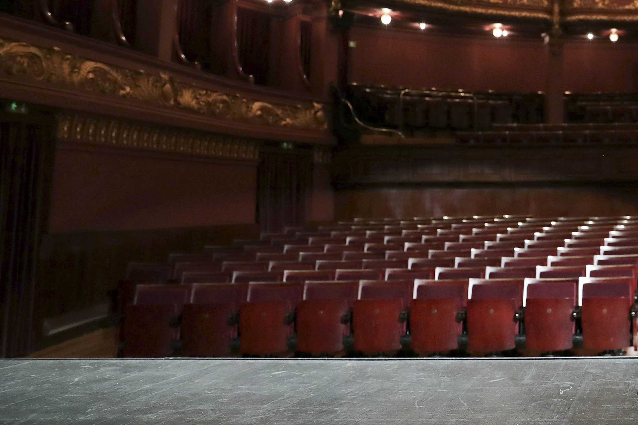 Teatro São João celebra 50 anos da Seiva Trupe com Júlio Cardoso em “O canto do cisne”