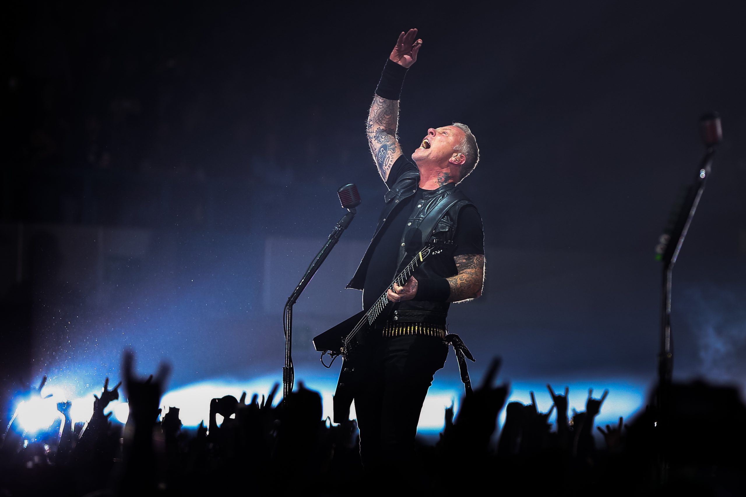 “Nem faço ideia do que lhes passou pela cabeça.” Tim e João Cabeleira reagem à homenagem dos Metallica a Zé Pedro