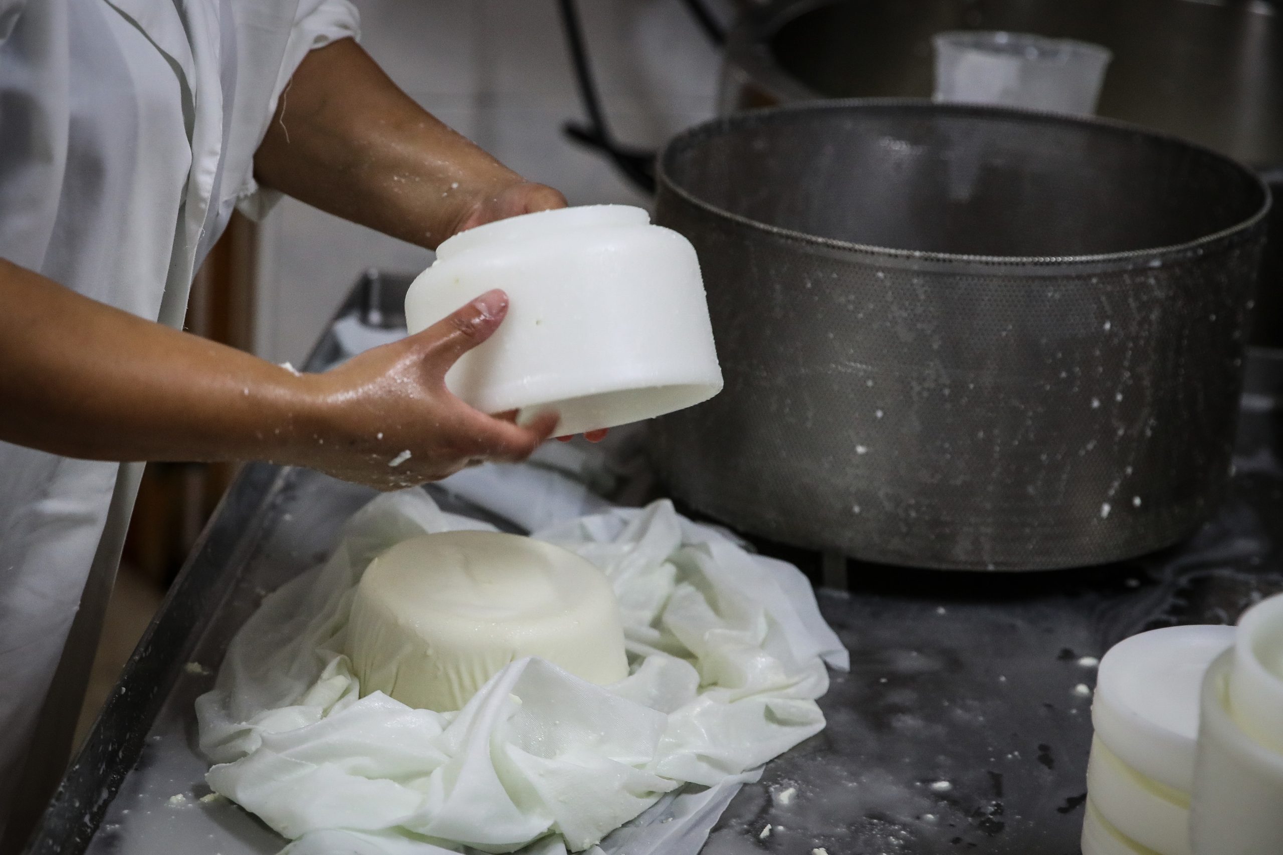 ASAE apreende mais de 250 quilos de queijo em Viseu
