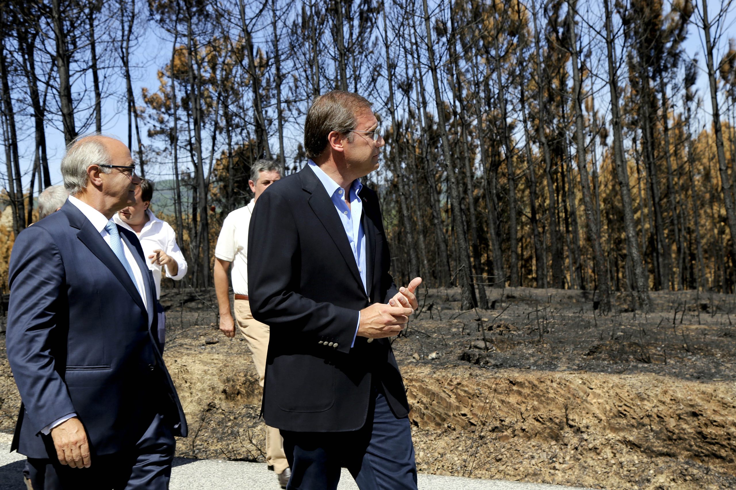 Passos Coelho apela ao Governo para manter a agricultura na agenda política