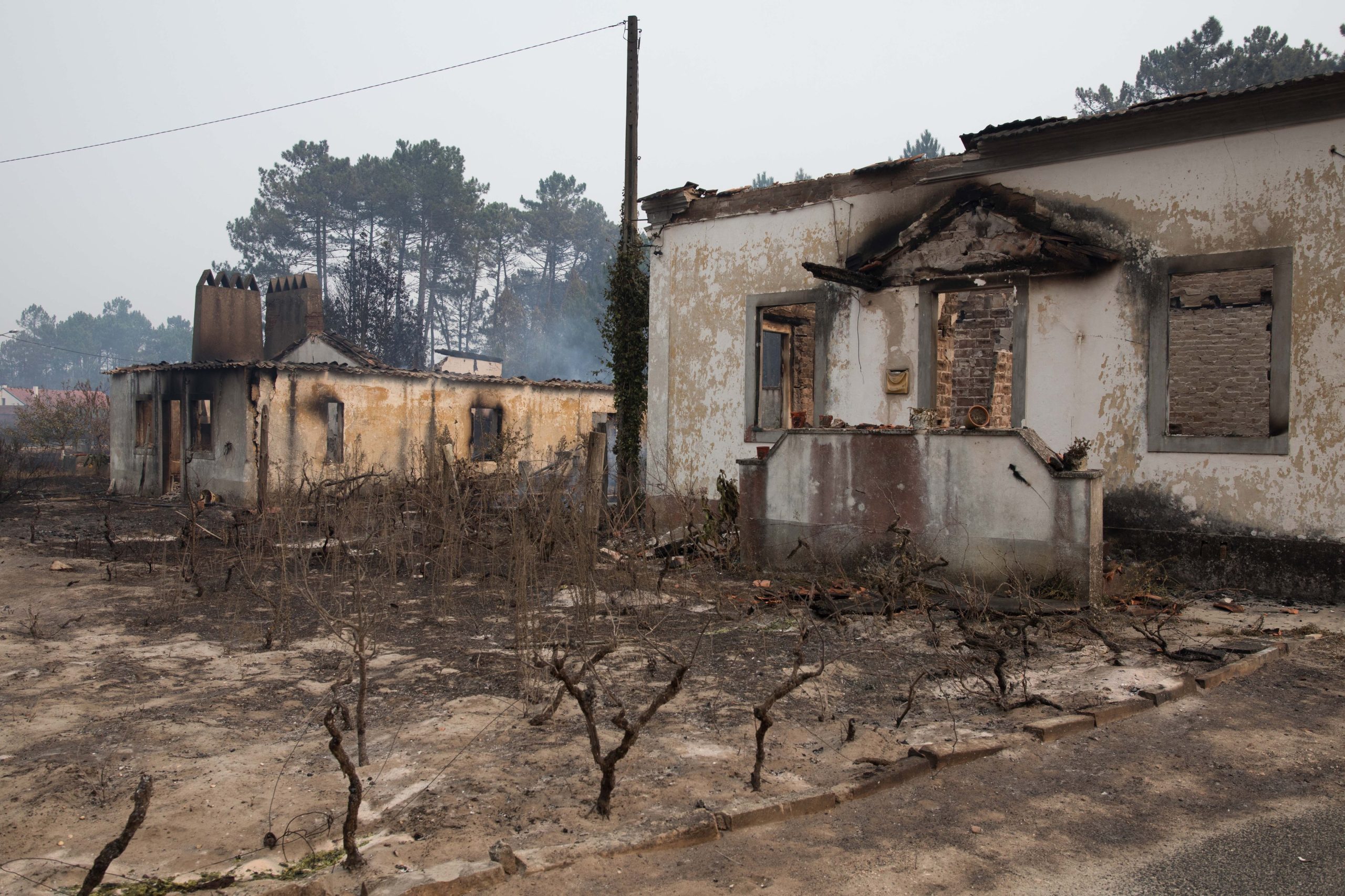 Incêndios: Comissão Técnica entregou relatório de fogos de outubro no parlamento