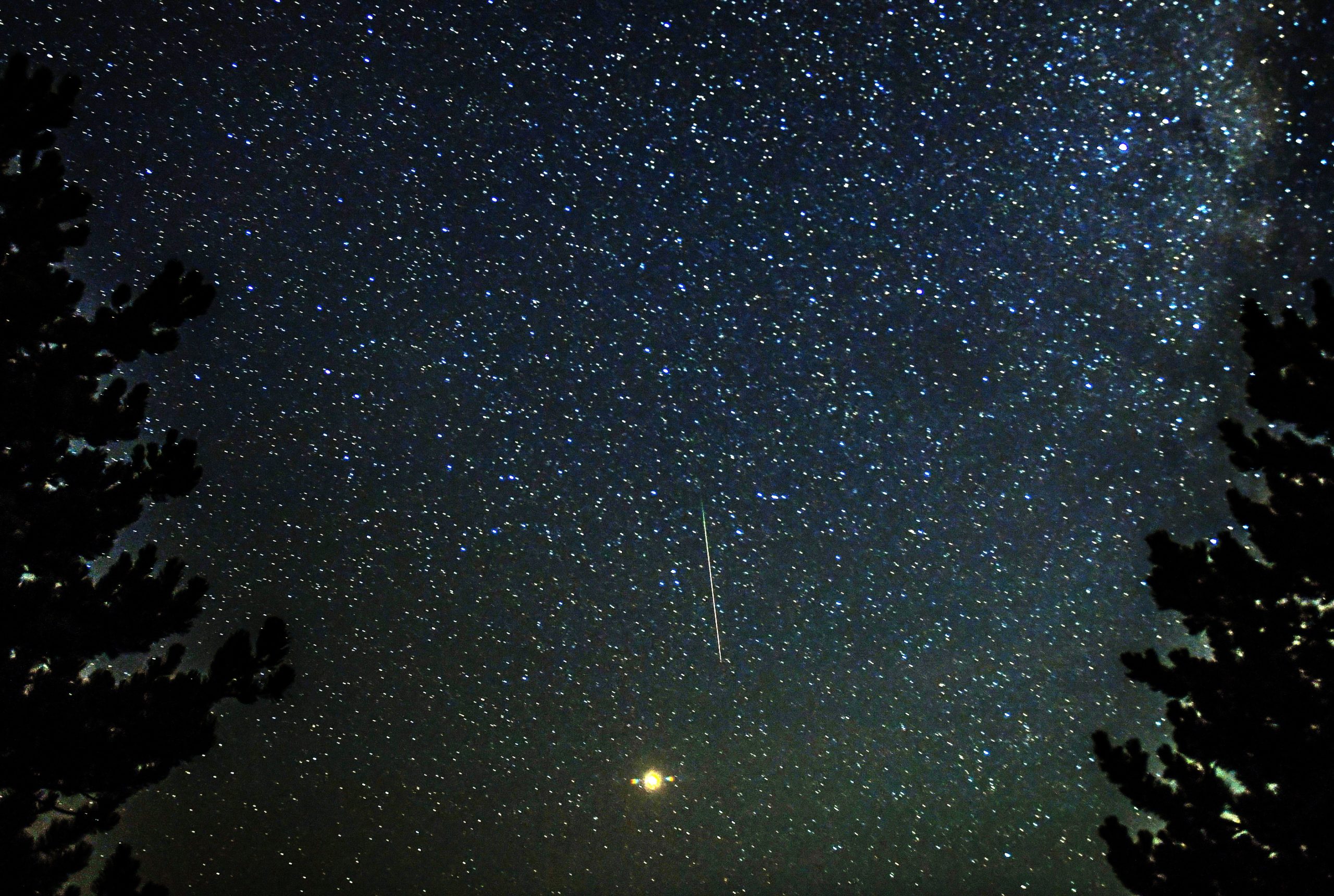 Perseidas atingem o pico esta semana e vão ser visíveis em Portugal