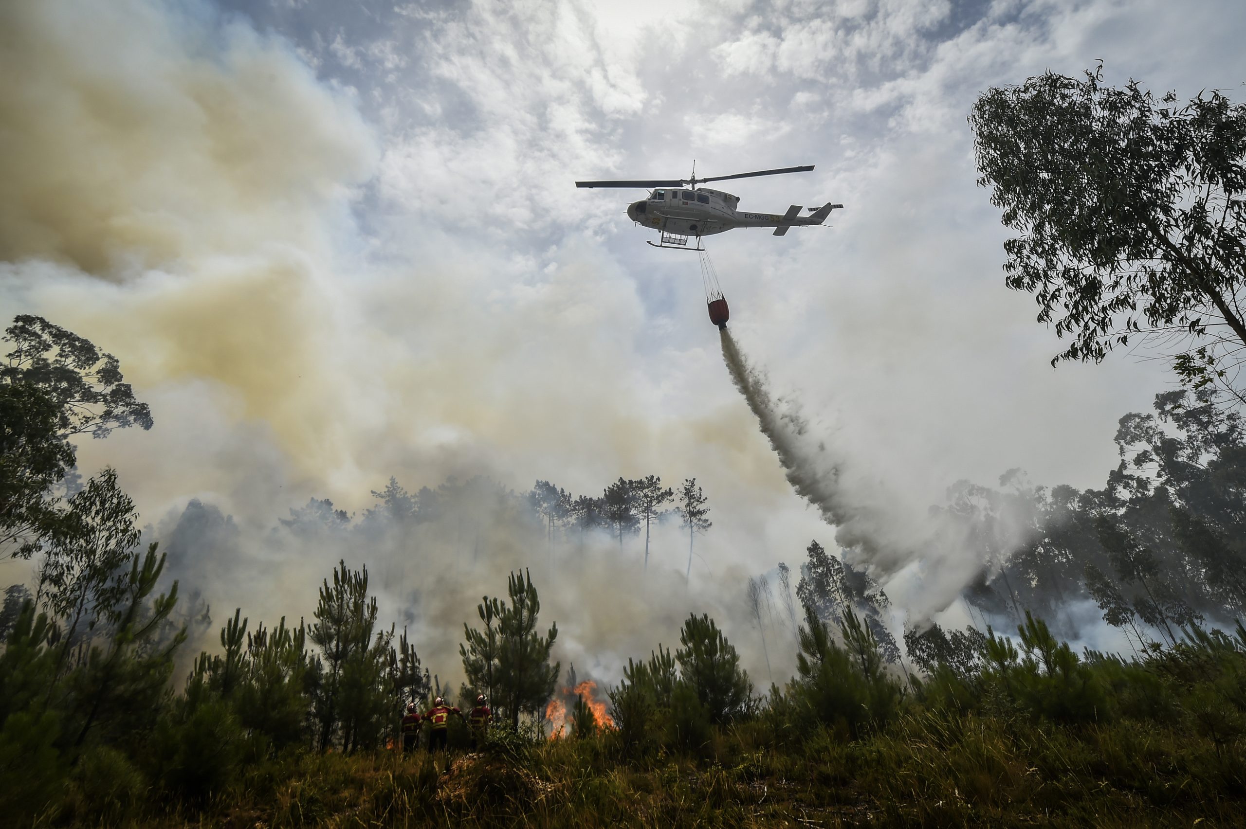 Incêndios: Dez meios aéreos combatem chamas no concelho de Penacova
