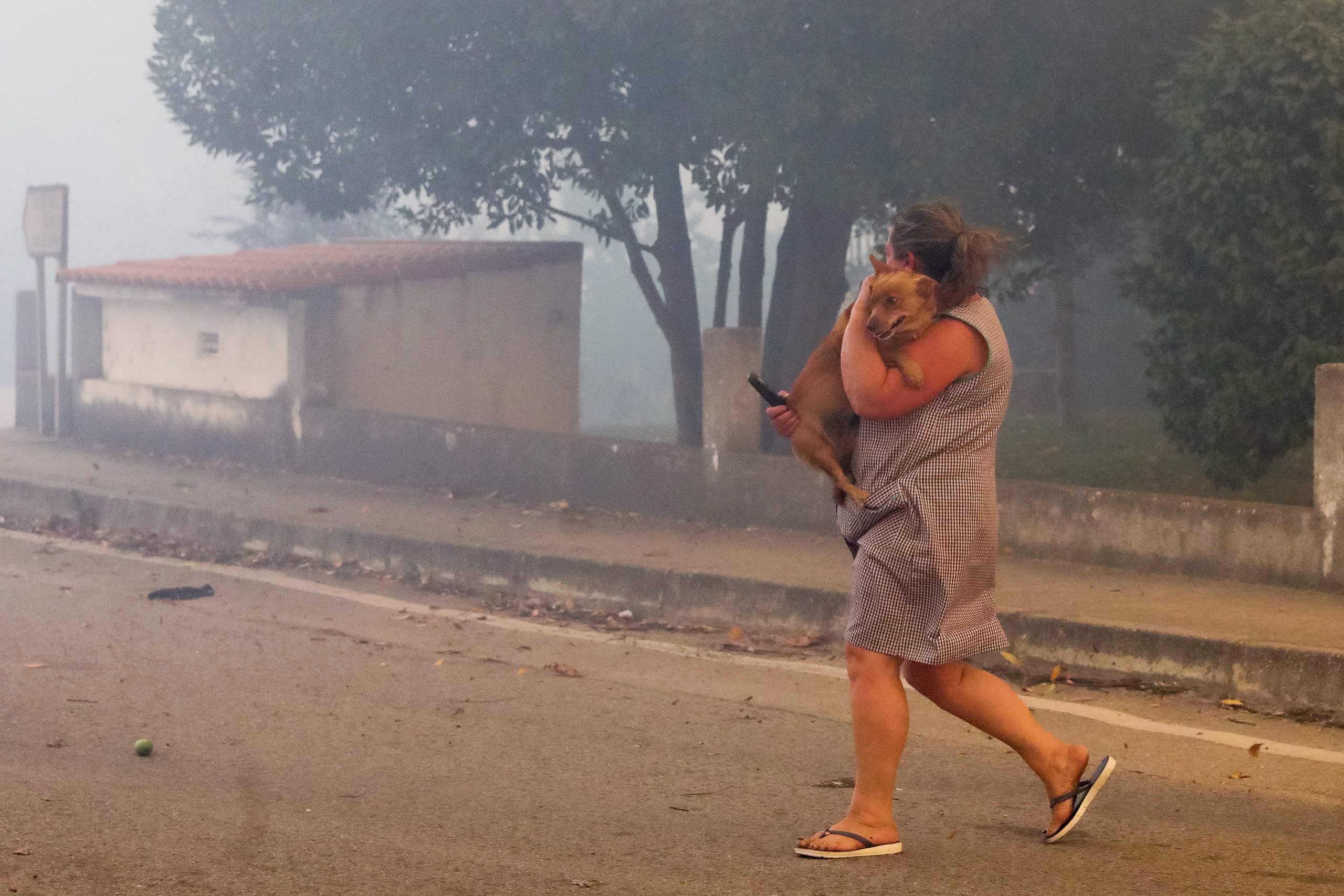 Incêndios: Câmara da Lousã fixa consumo de água pela média do último ano