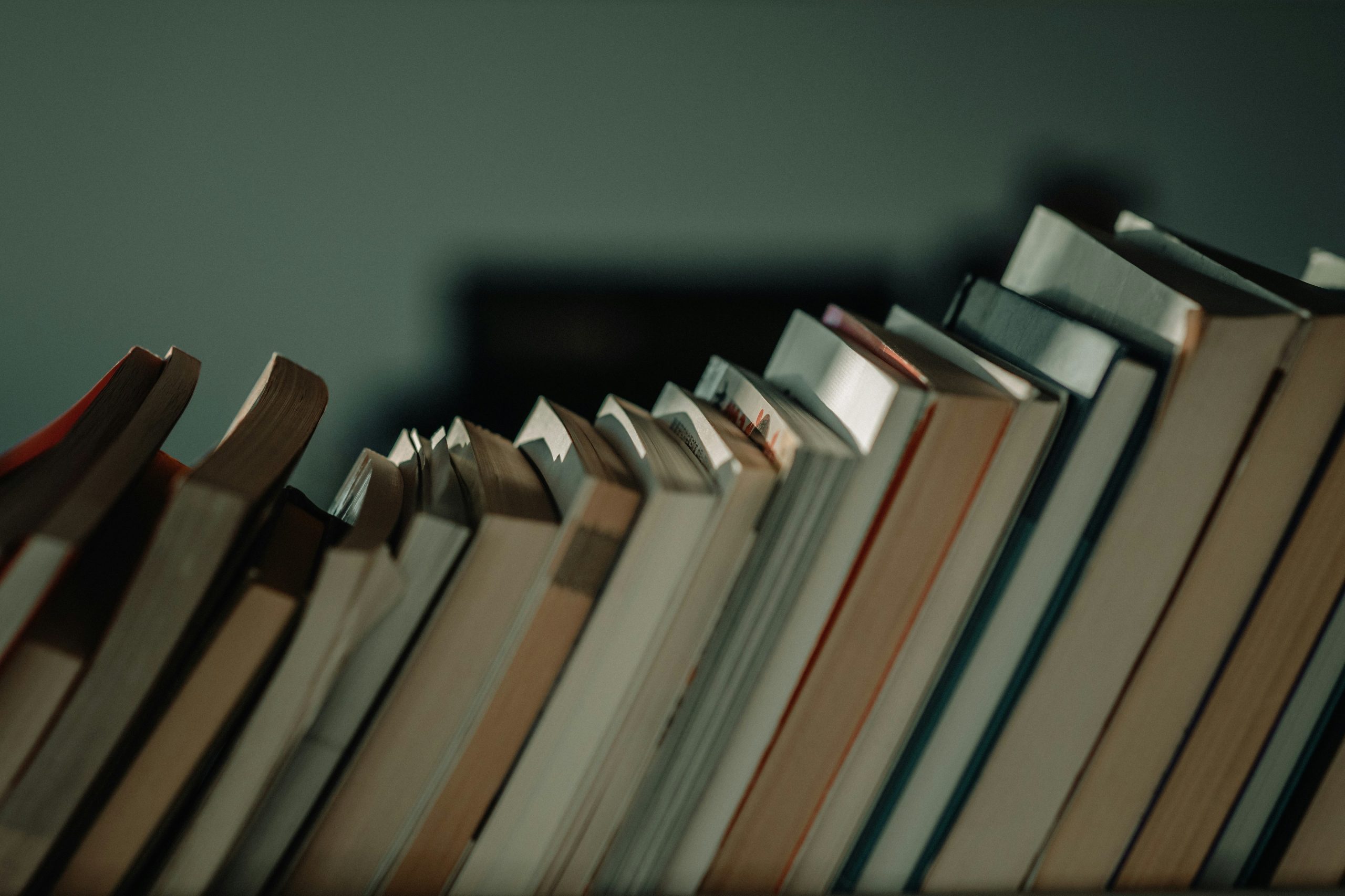 Da poesia à não-ficção: destaques literários da Leya para o início de 2026