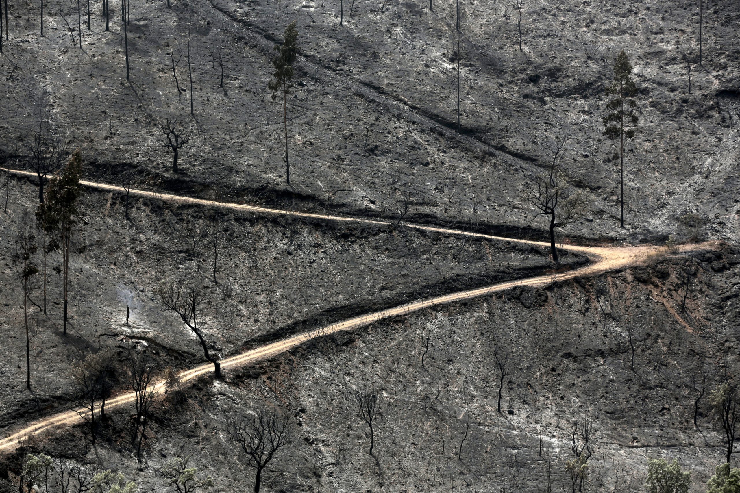 Incêndios: Apreensão e incerteza dominam sentimentos de populares em Monchique