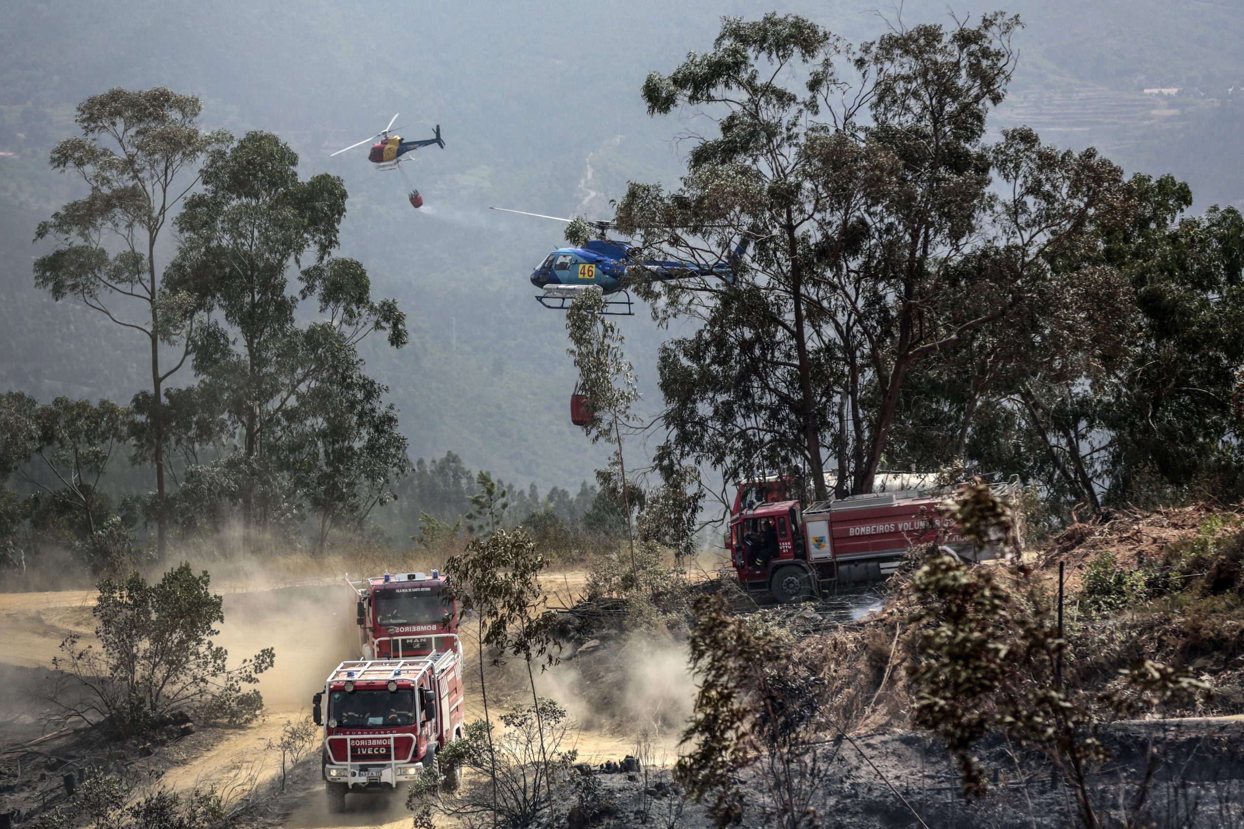 Mais de 700 bombeiros continuam o combate às chamas em Monchique