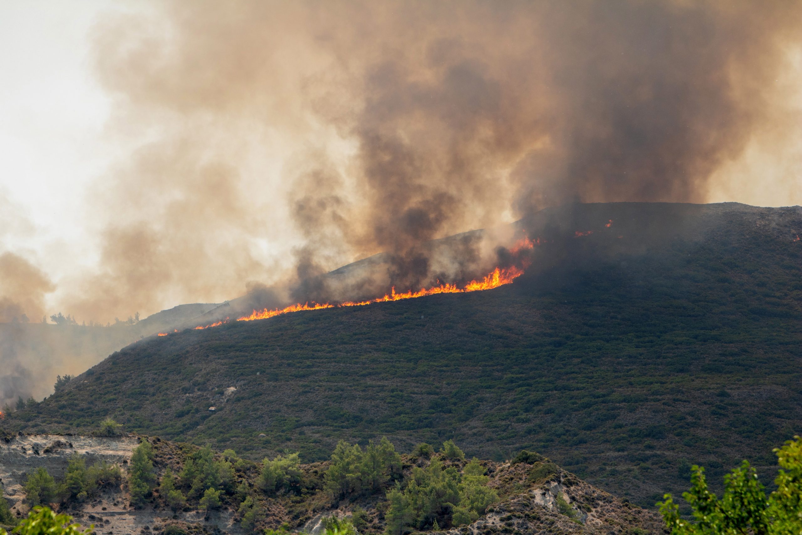 Nível recorde de emissões de carbono no mês de julho na Grécia