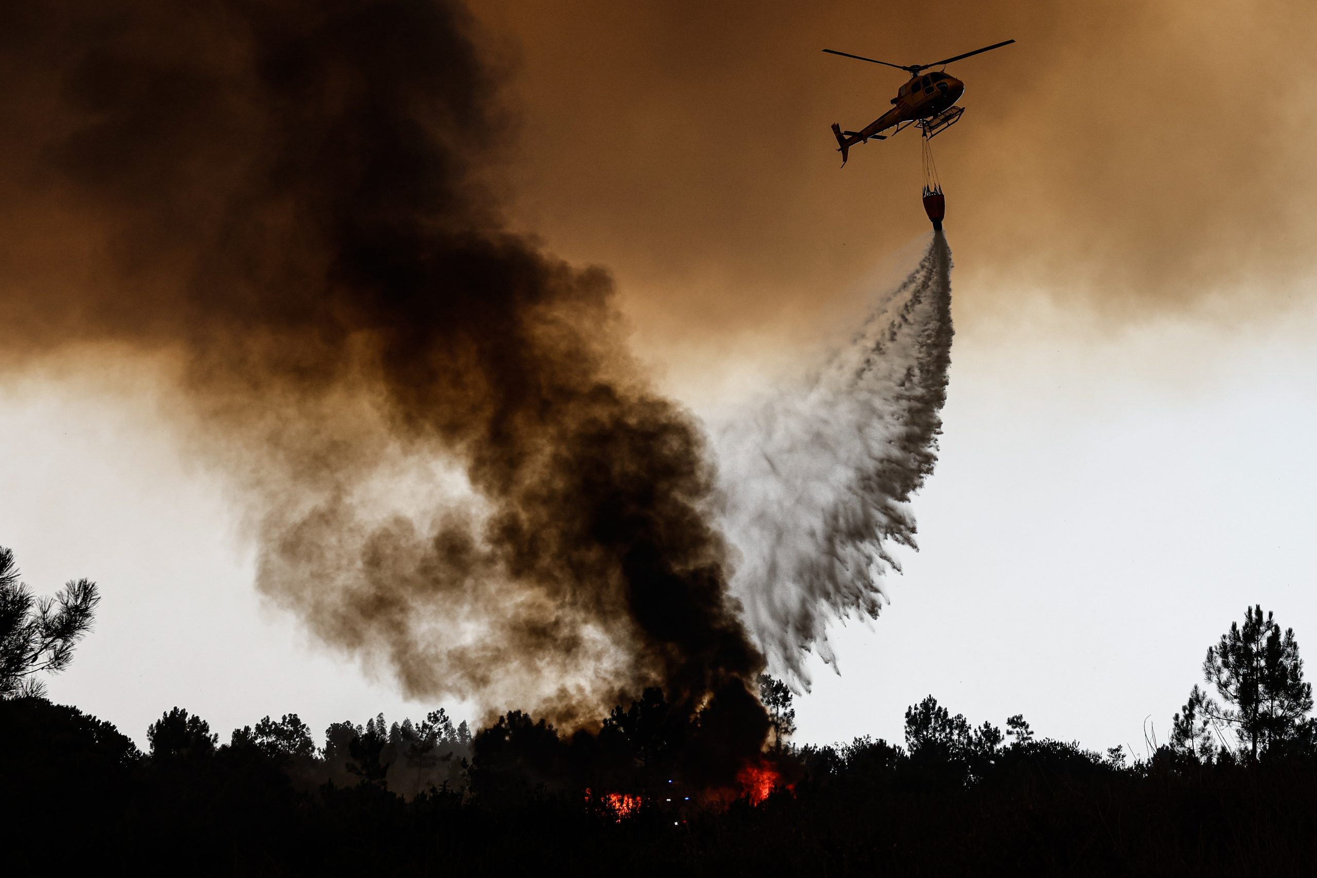 Incêndios: Proteção Civil vai analisar o que possa não ter corrido bem em Odemira