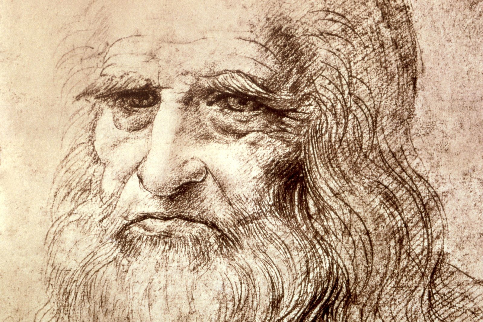 Reformado tinha um desenho de Da Vinci e não sabia. Agora, foi avaliado em 15 milhões de euros