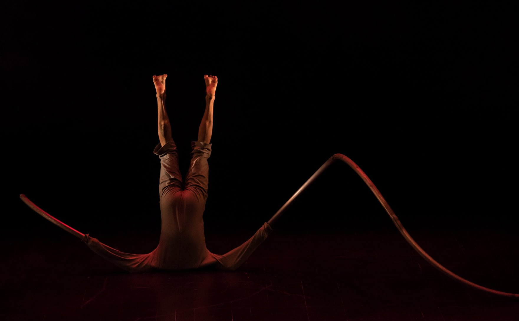 Mostra Estufa: Uma incubadora do circo contemporâneo do futuro