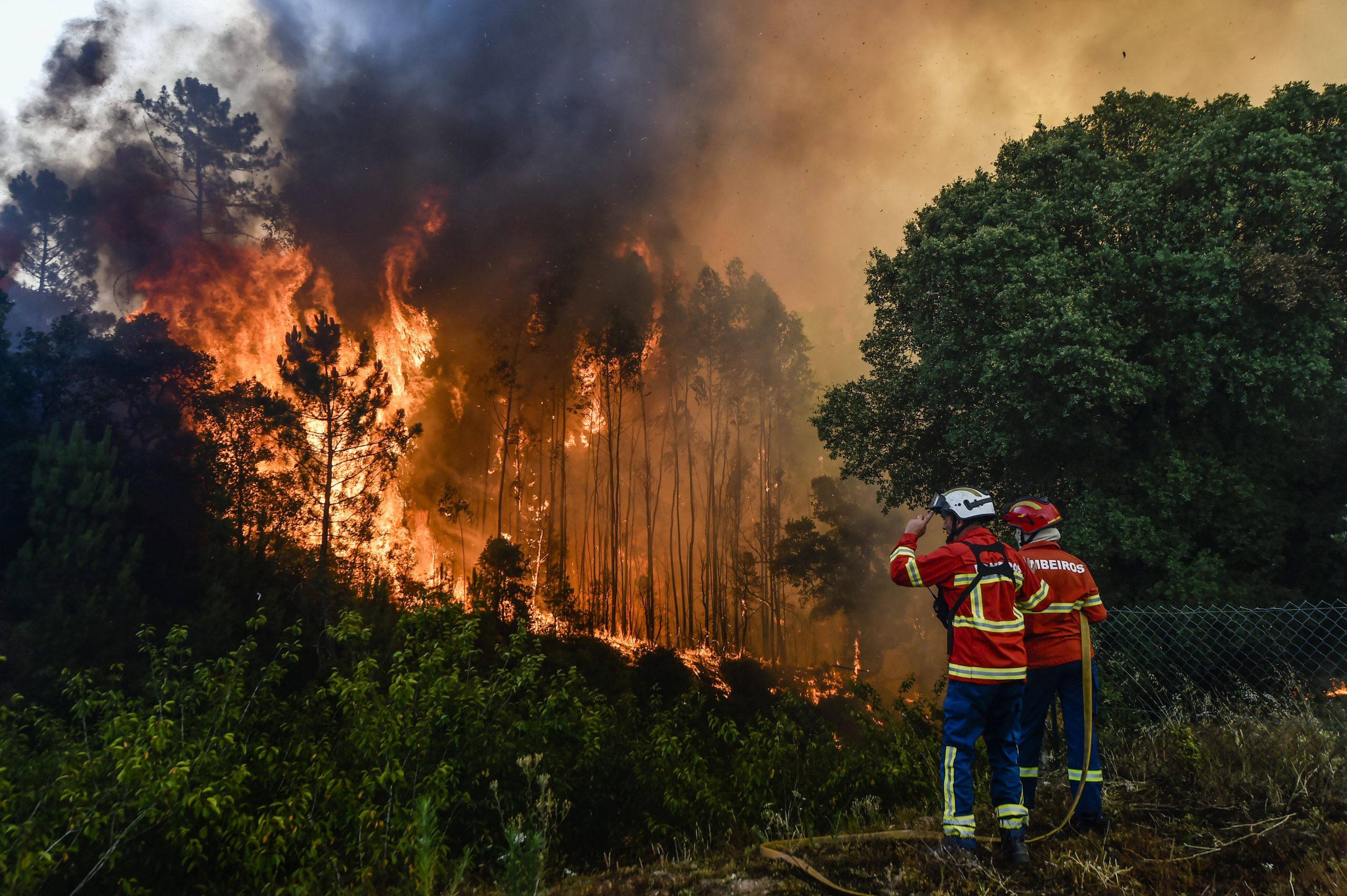 Incêndio na Serra do Montejunto combatido por 170 operacionais e sete meios aéreos
