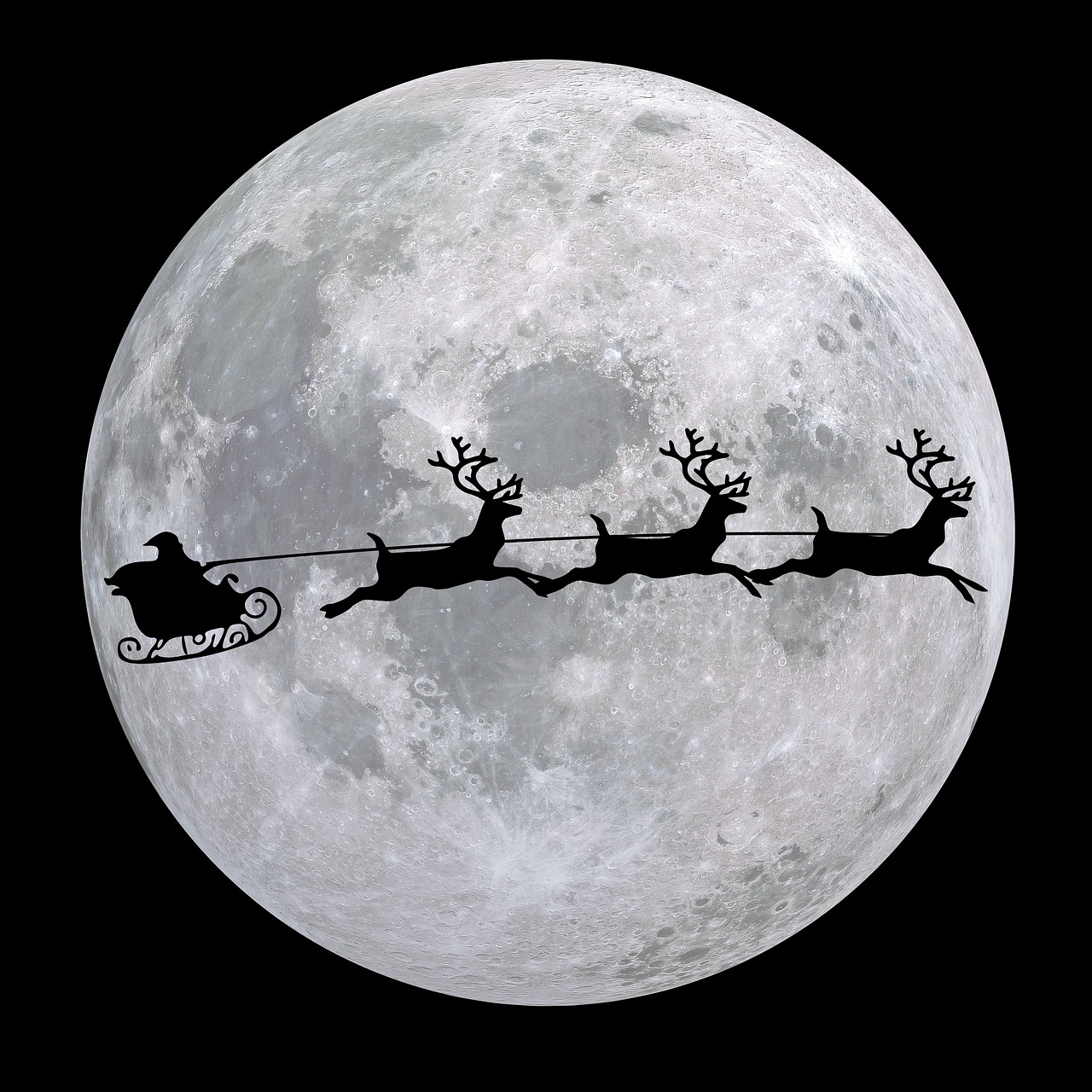 As renas do Pai Natal são fêmeas? A ciência diz que sim