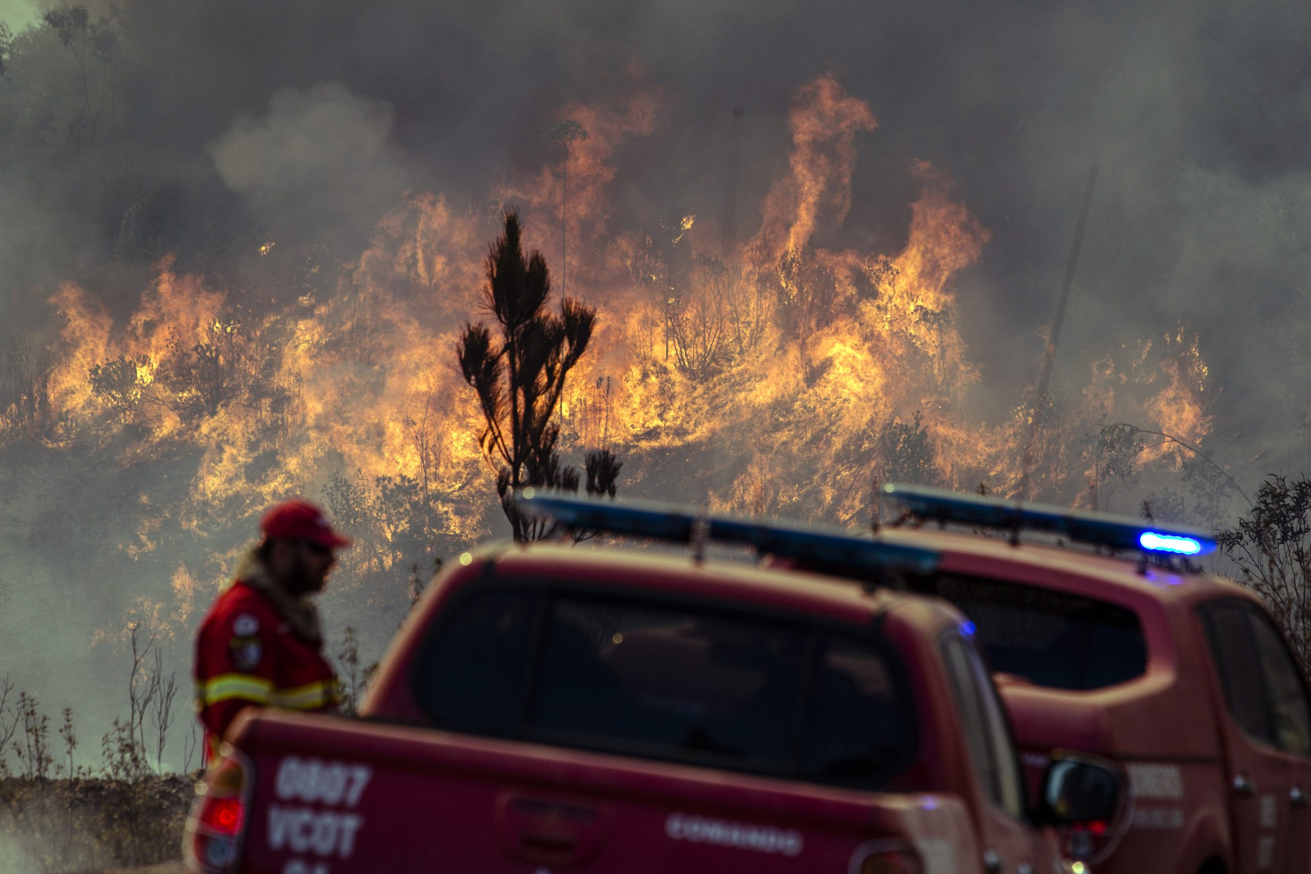 Incêndios: Projeção atingiu zona de vegetação da vila de Monchique