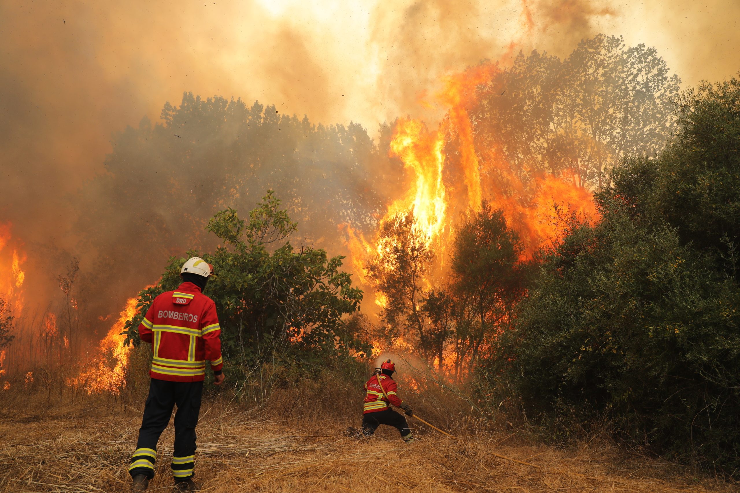 Mais de 230 operacionais combatem incêndio em Monchique em zona de mato