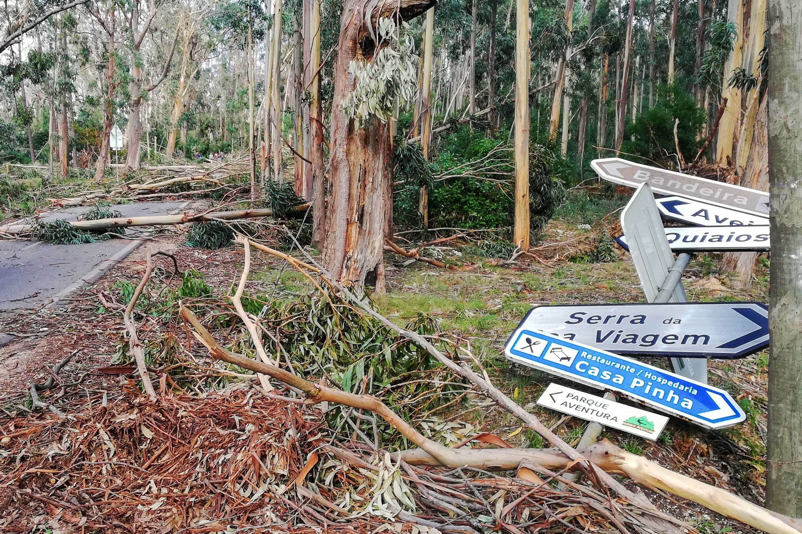 Tempestade Leslie: Sinistros participados custam 45 milhões de euros às seguradoras