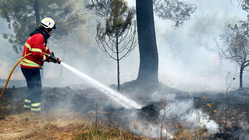 Incêndios: Balanço provisório aponta para 3.700 hectares de floresta ardidos em Vila de Rei