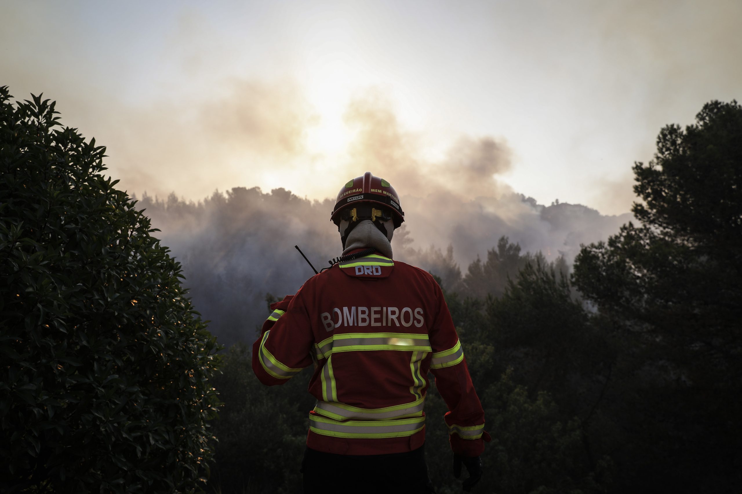 Incêndio de Oliveira de Azeméis já está em fase de resolução